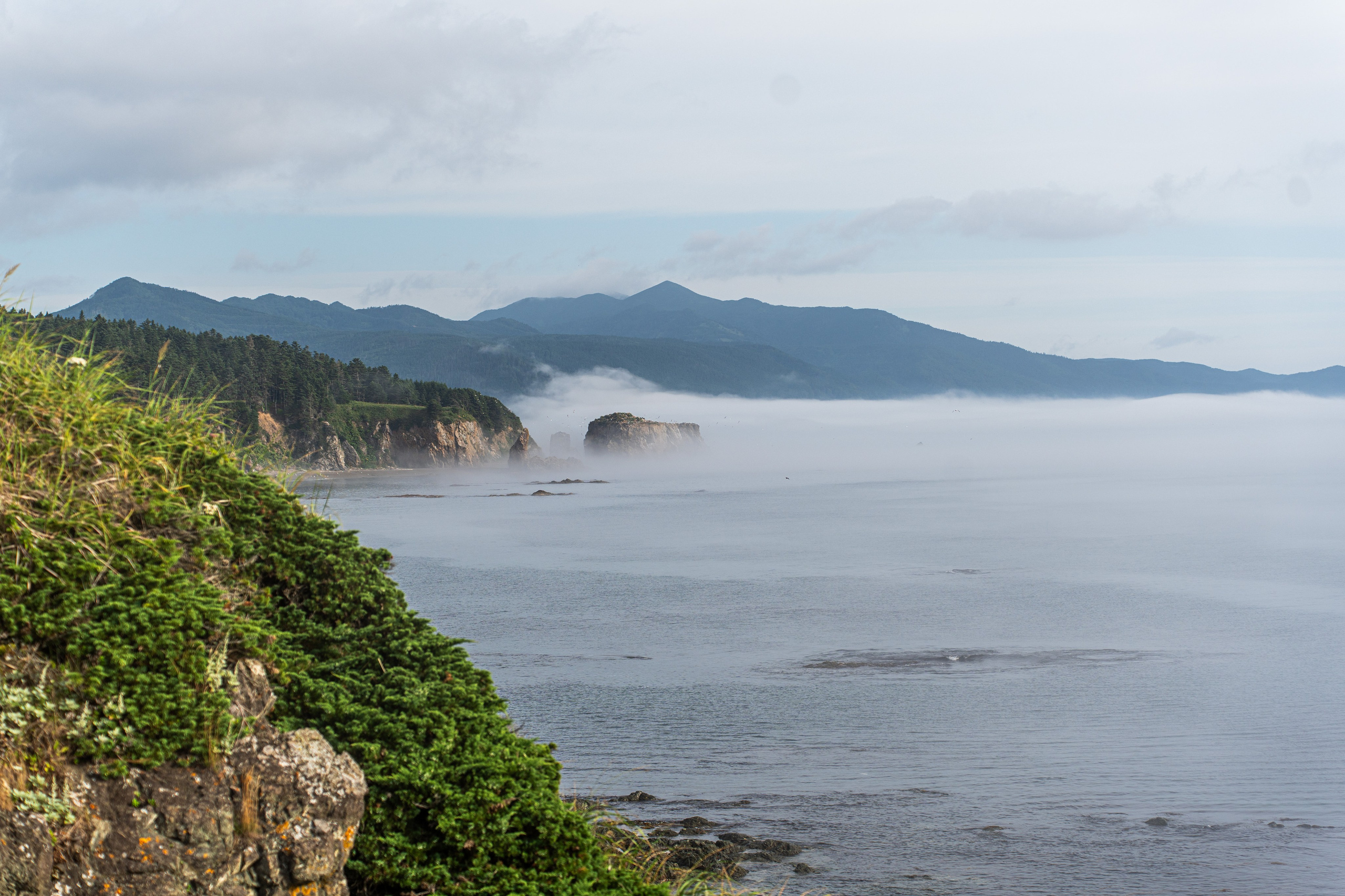 Сахалин 2025. Творческие сьемки
