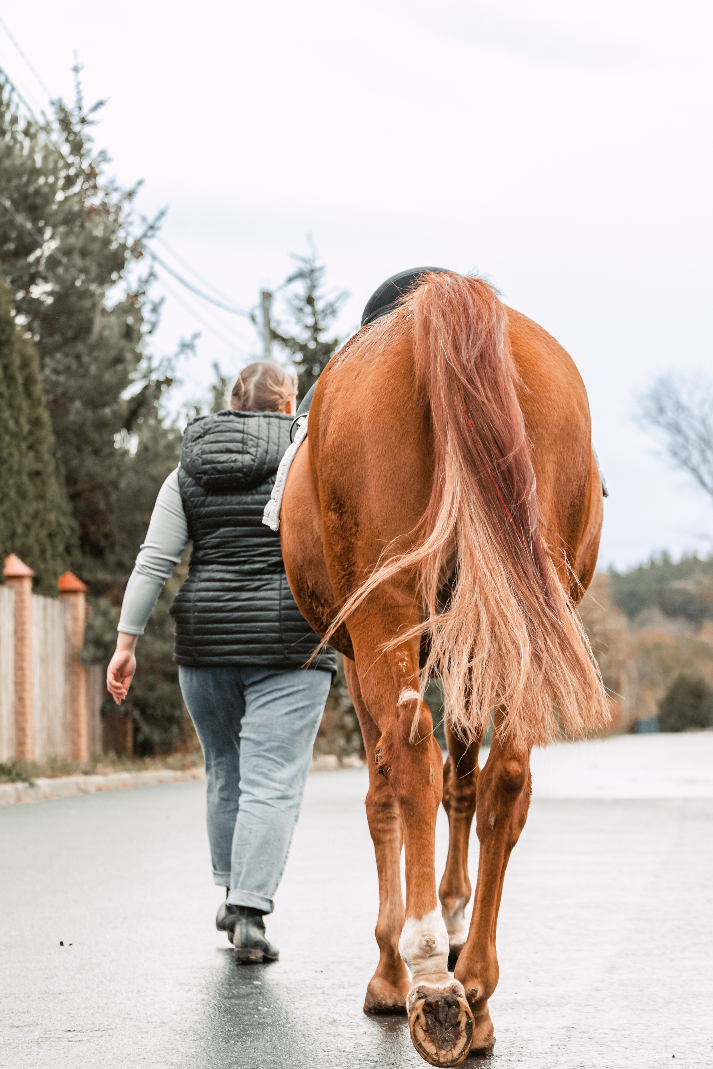 Лена и Рэджи. Фотограф-анималист Татьяна Степанова
