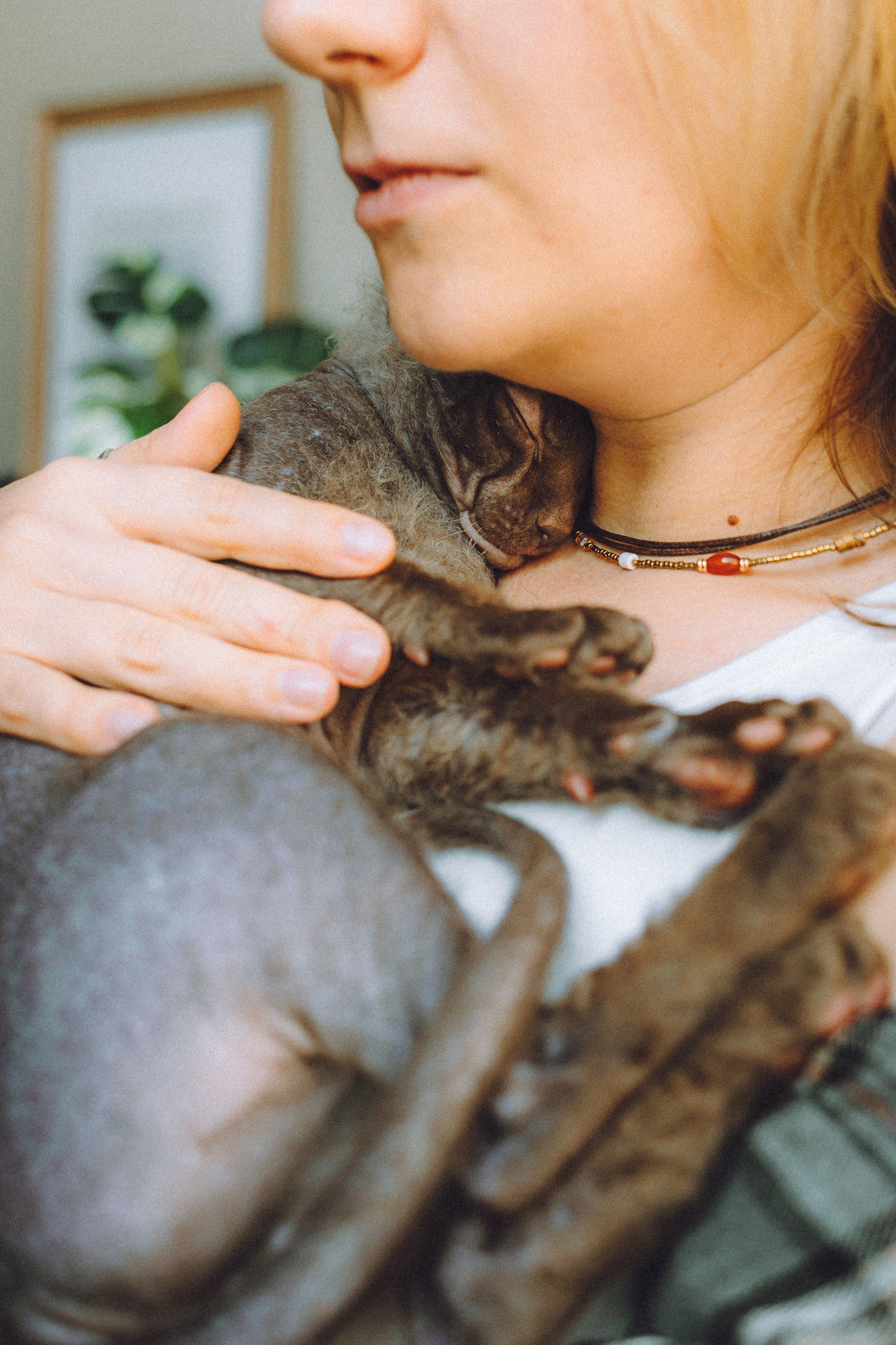 Кокос, Света, Динара и Вилли