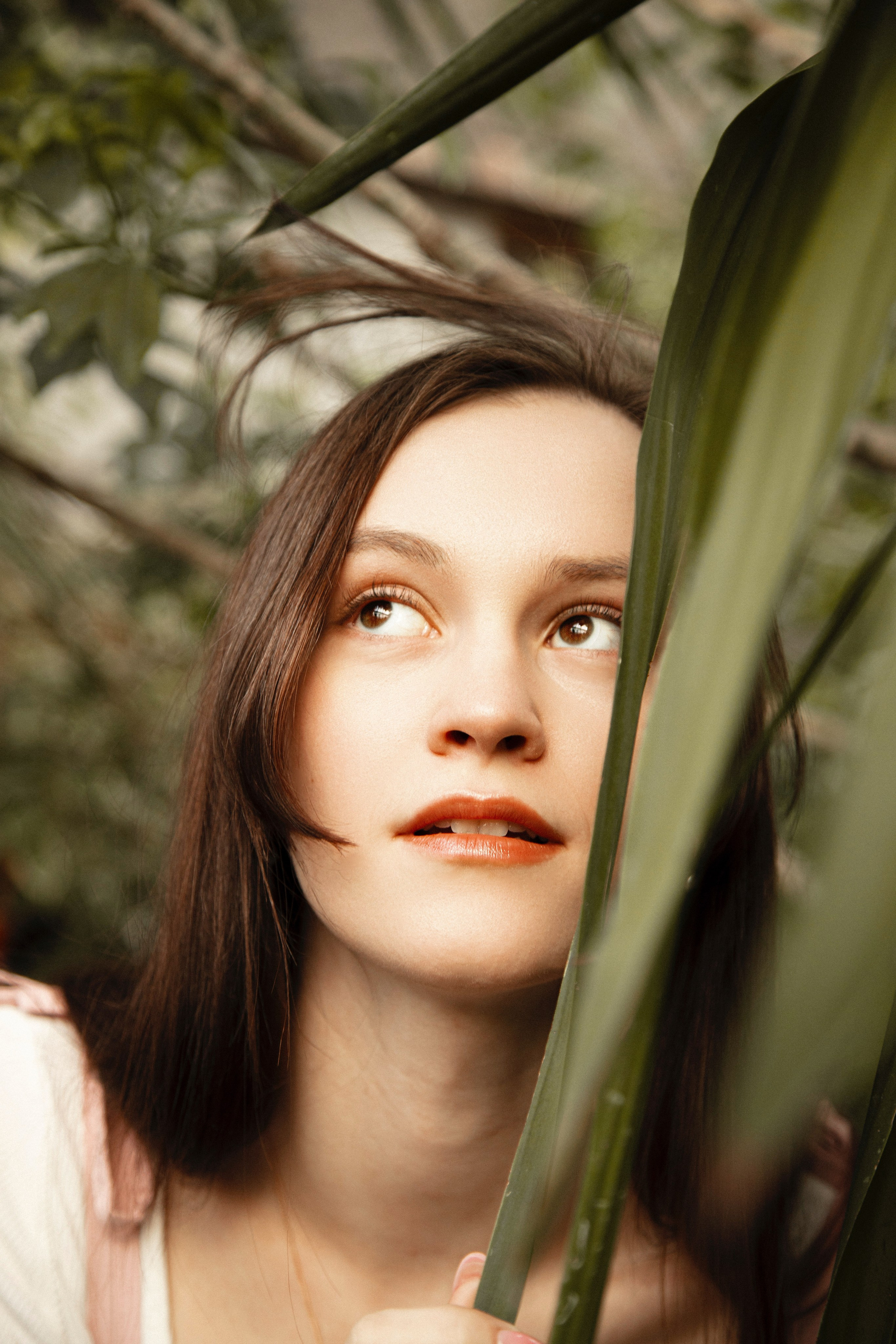 Оранжерея Таврического сада