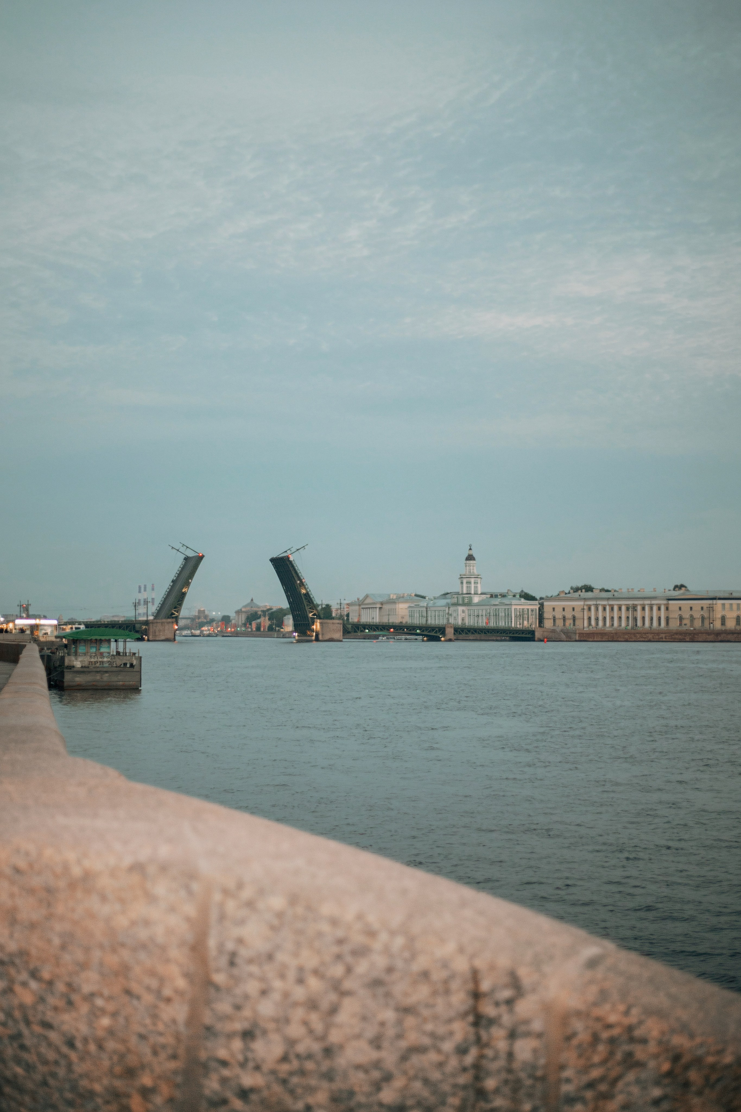 АЛИСА И АНДРЕЙ РАЗВОДНЫЕ. Петербургский фотограф — Рия