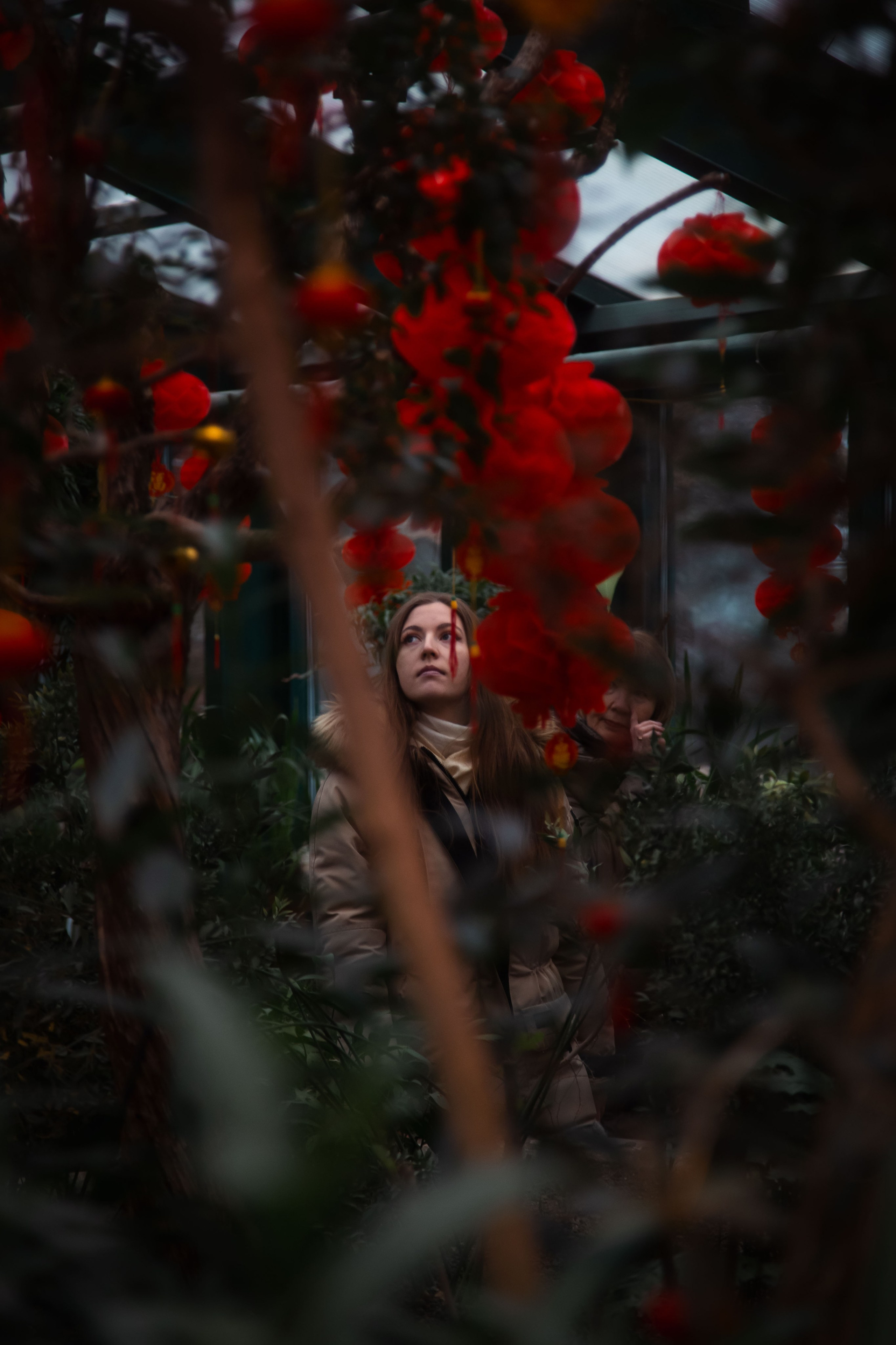 Китайский новый год 2025. Dmitriy [KCCC] is a pretty cool photographer