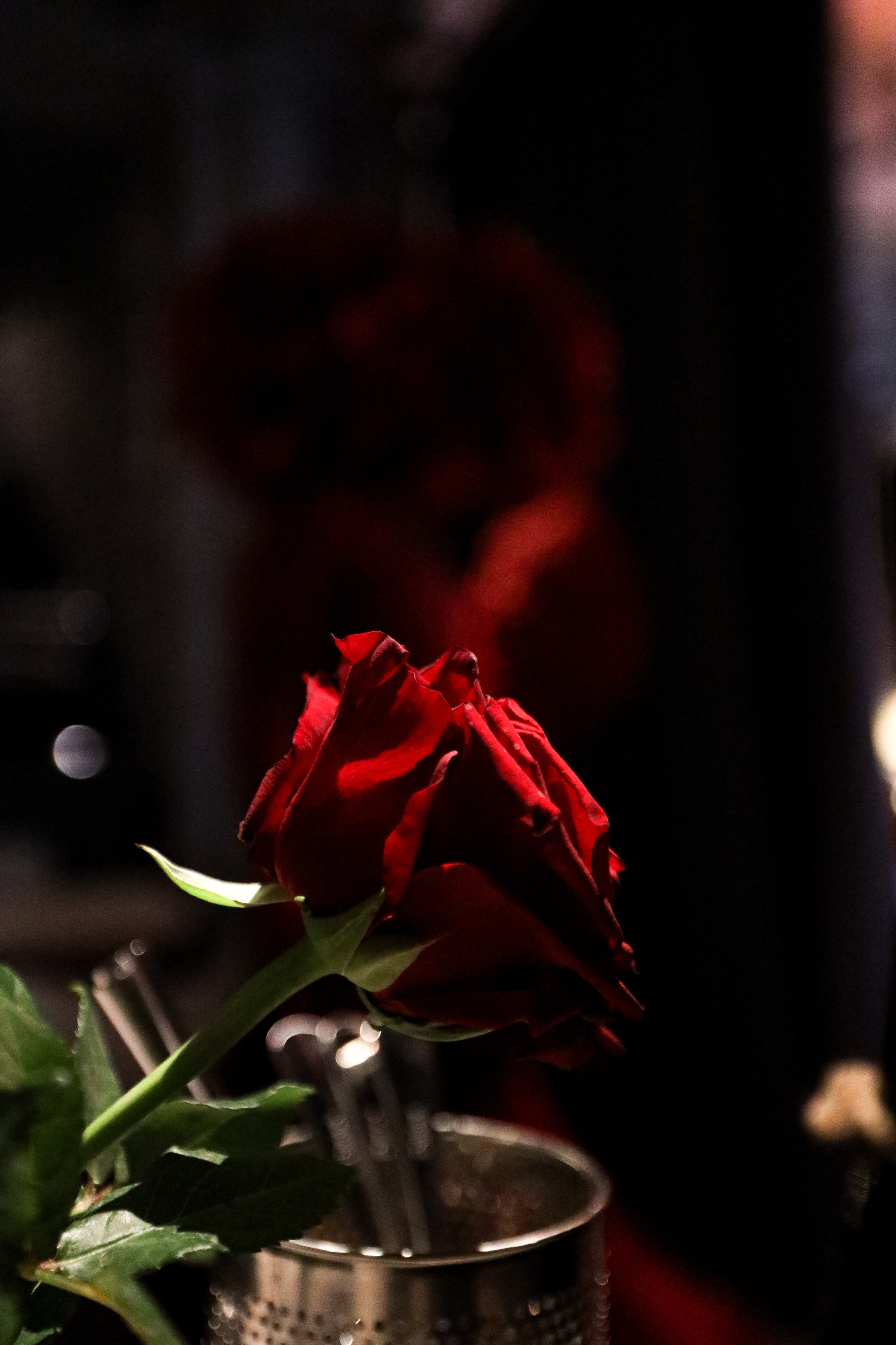 Gastrodvor 3YEARS. Дженбаз Павел — фотограф в Ялте