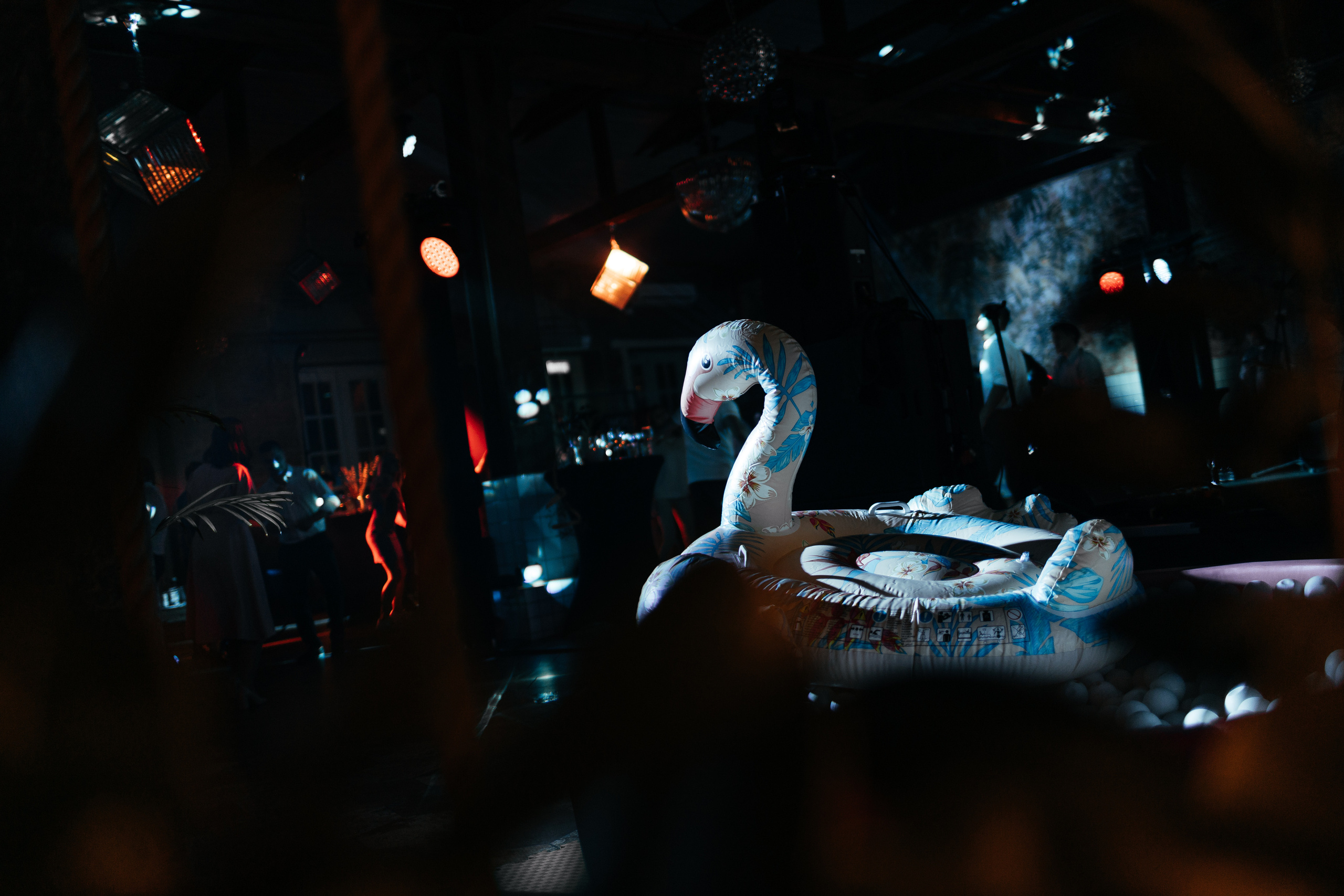 Дмитрий и Александра. Свадебный и семейный фотограф