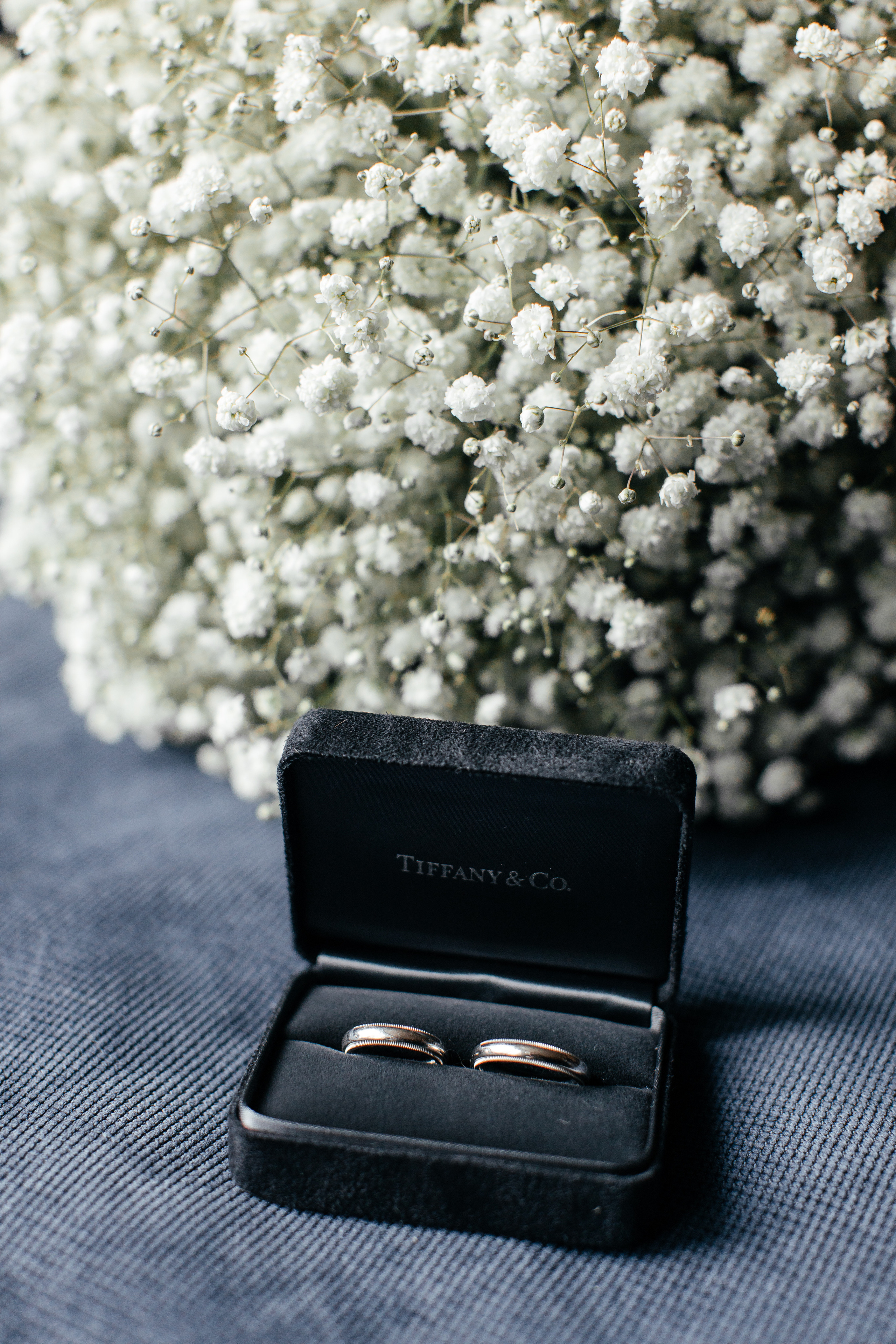 Дмитрий и Александра. Свадебный и семейный фотограф