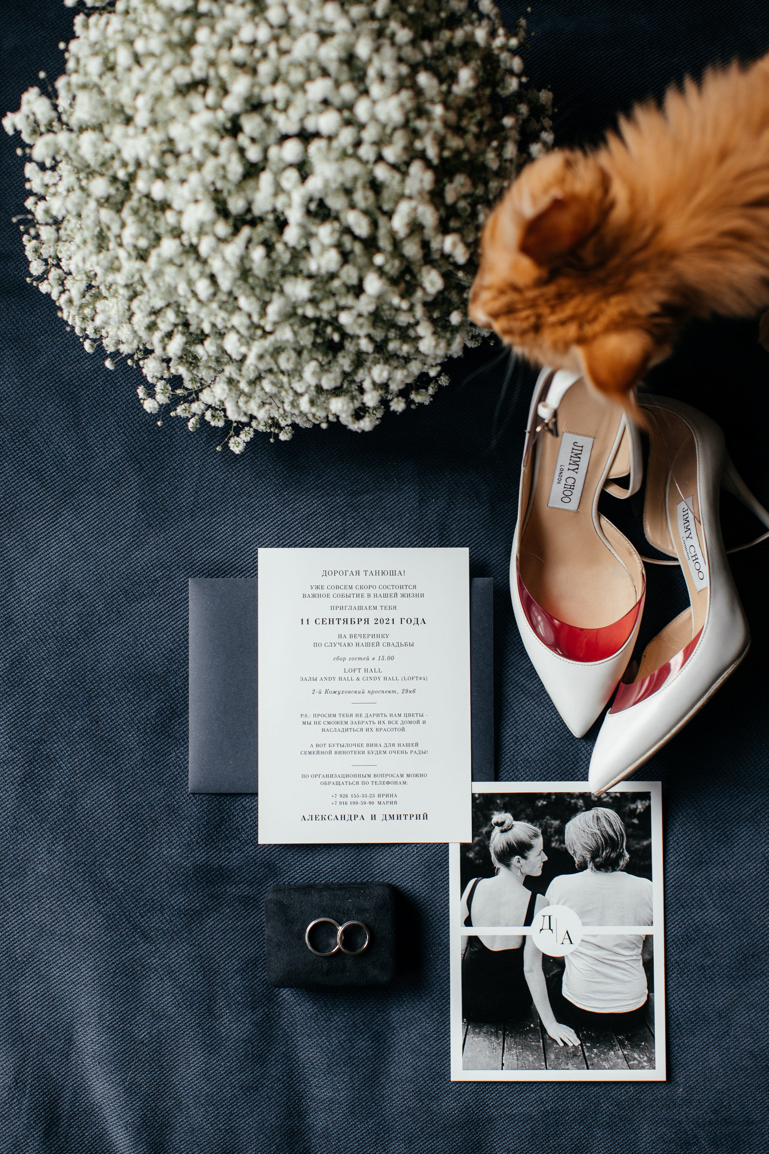 Дмитрий и Александра. Свадебный и семейный фотограф