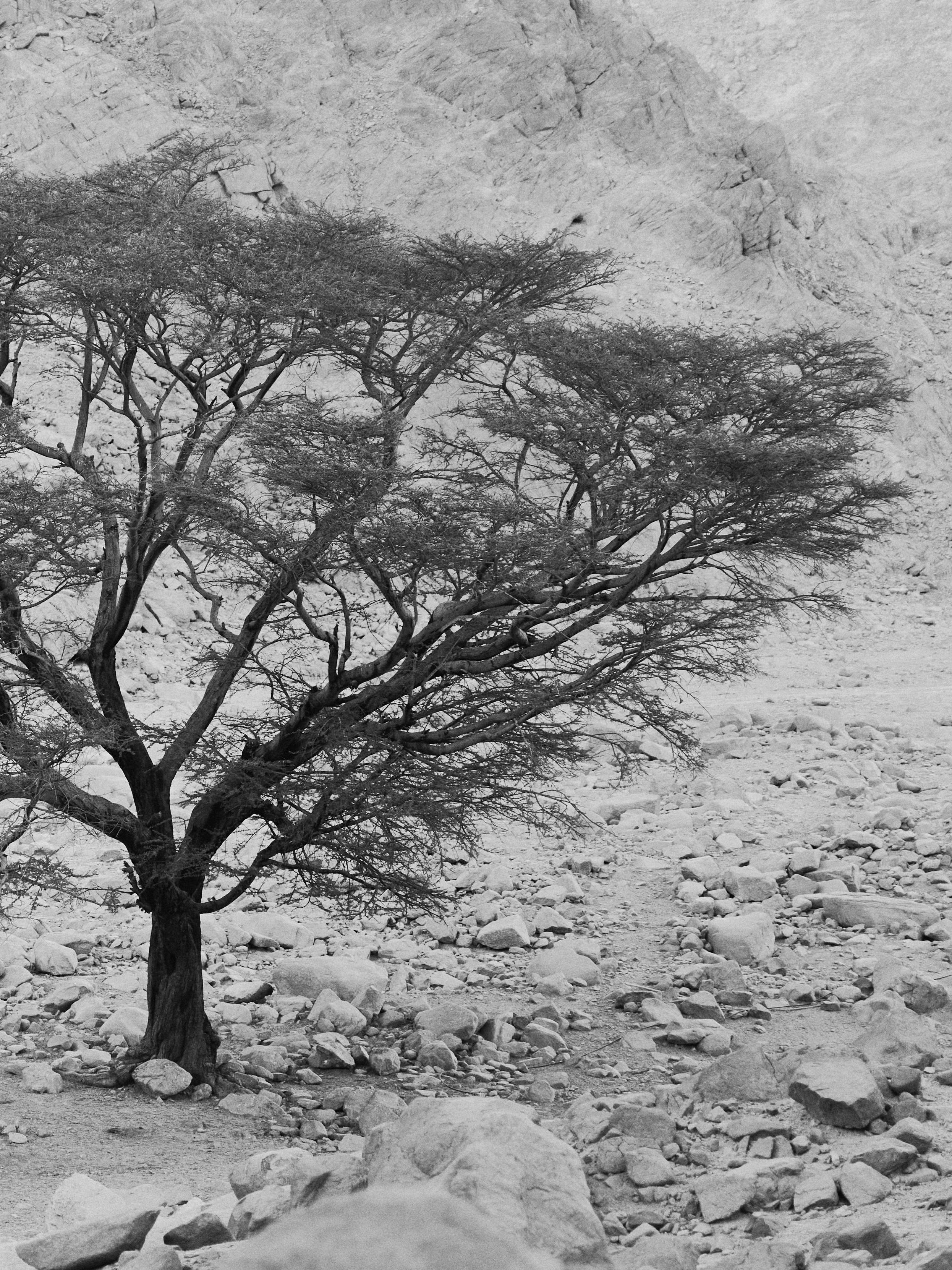 Другое 4. Jorgis — фотограф в Хургаде / обучение фотографии