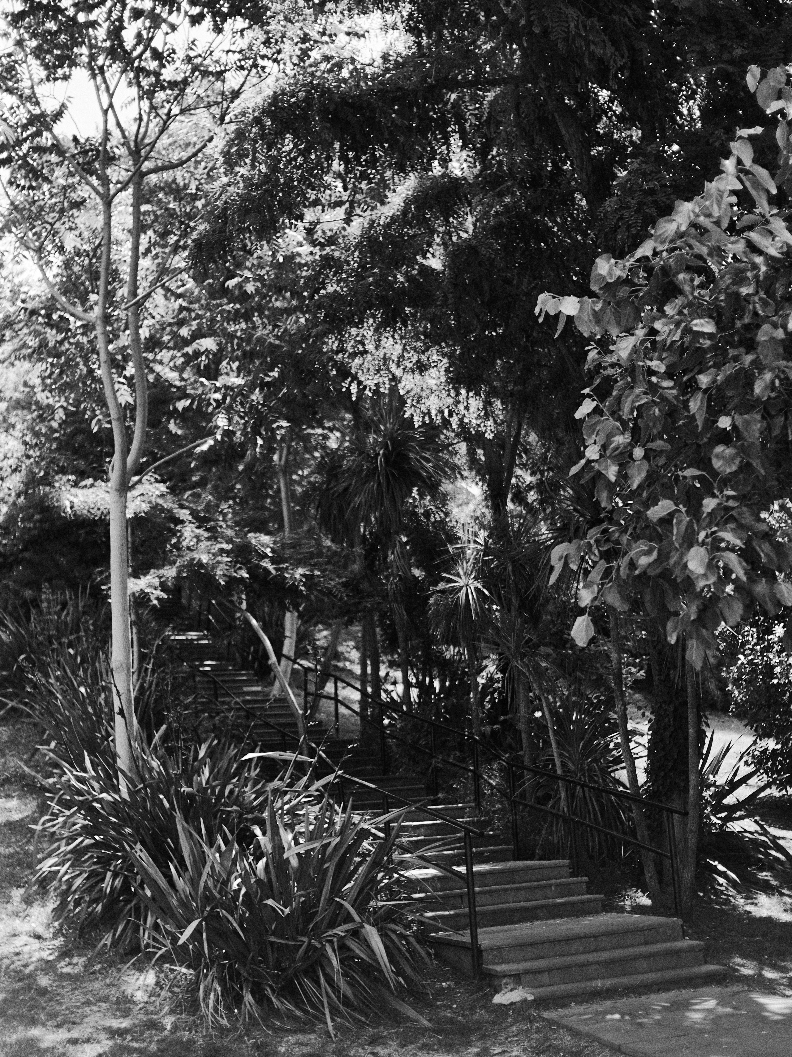 B&W. Jorgis — фотограф в Хургаде / обучение фотографии