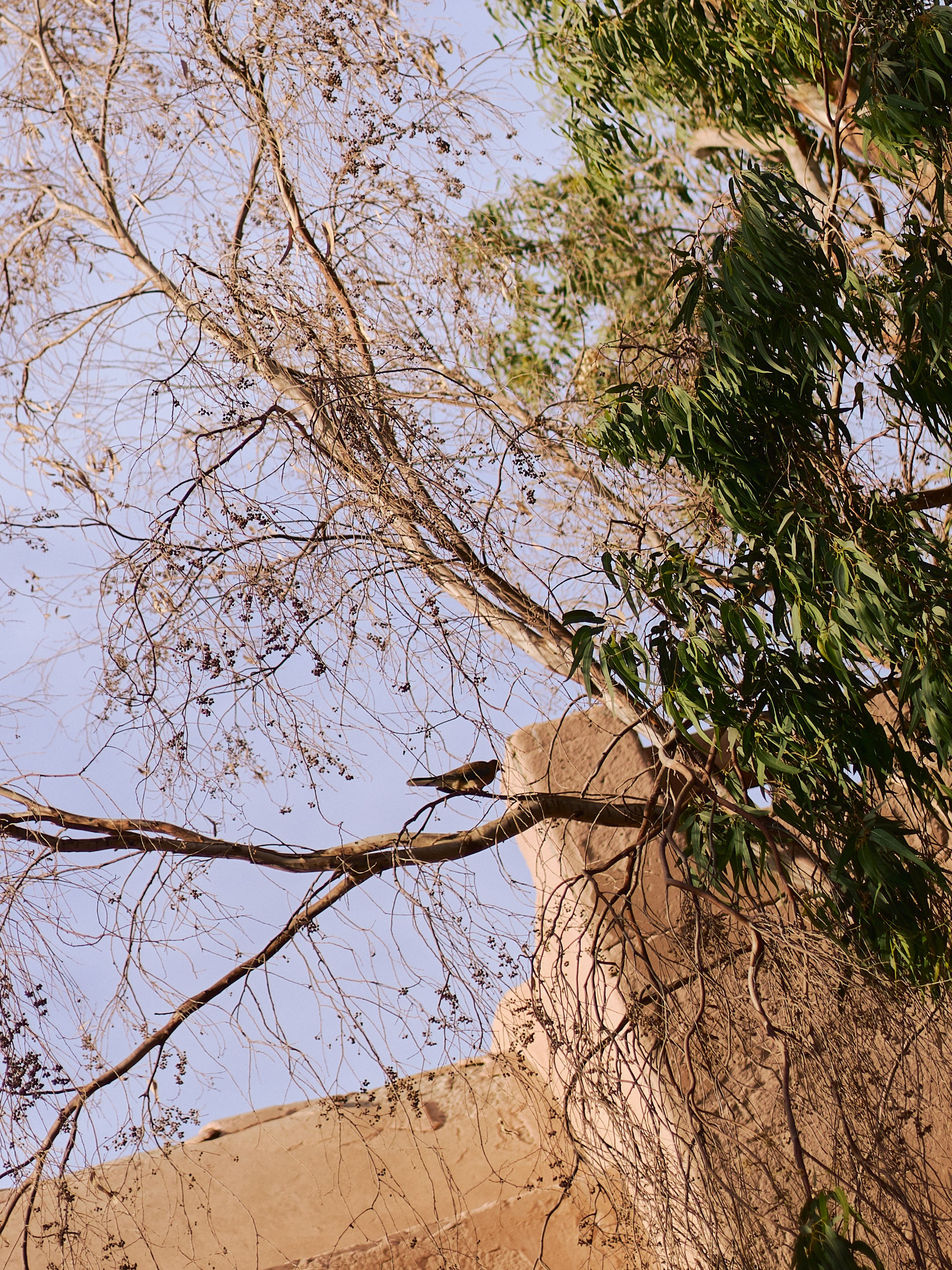 Диптих. Jorgis — фотограф в Хургаде / обучение фотографии