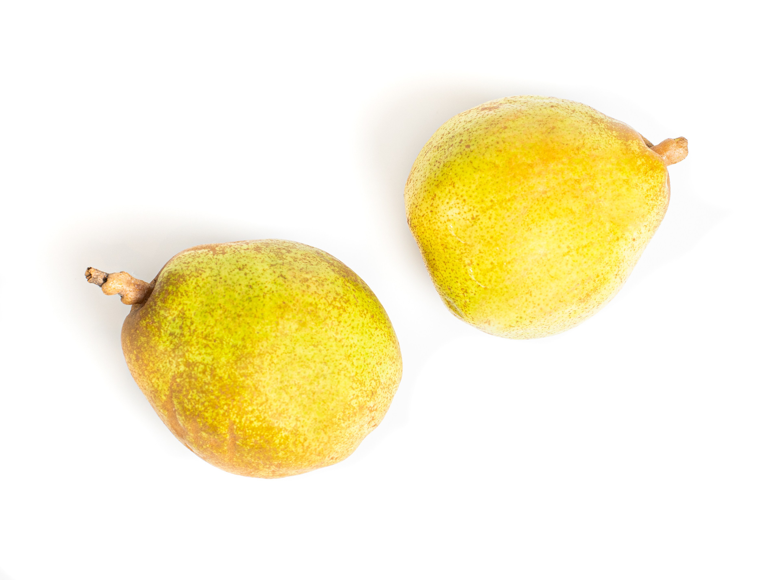 Яндекс Маркет. Предметный и фуд-фотограф в Москве Анна Царенко