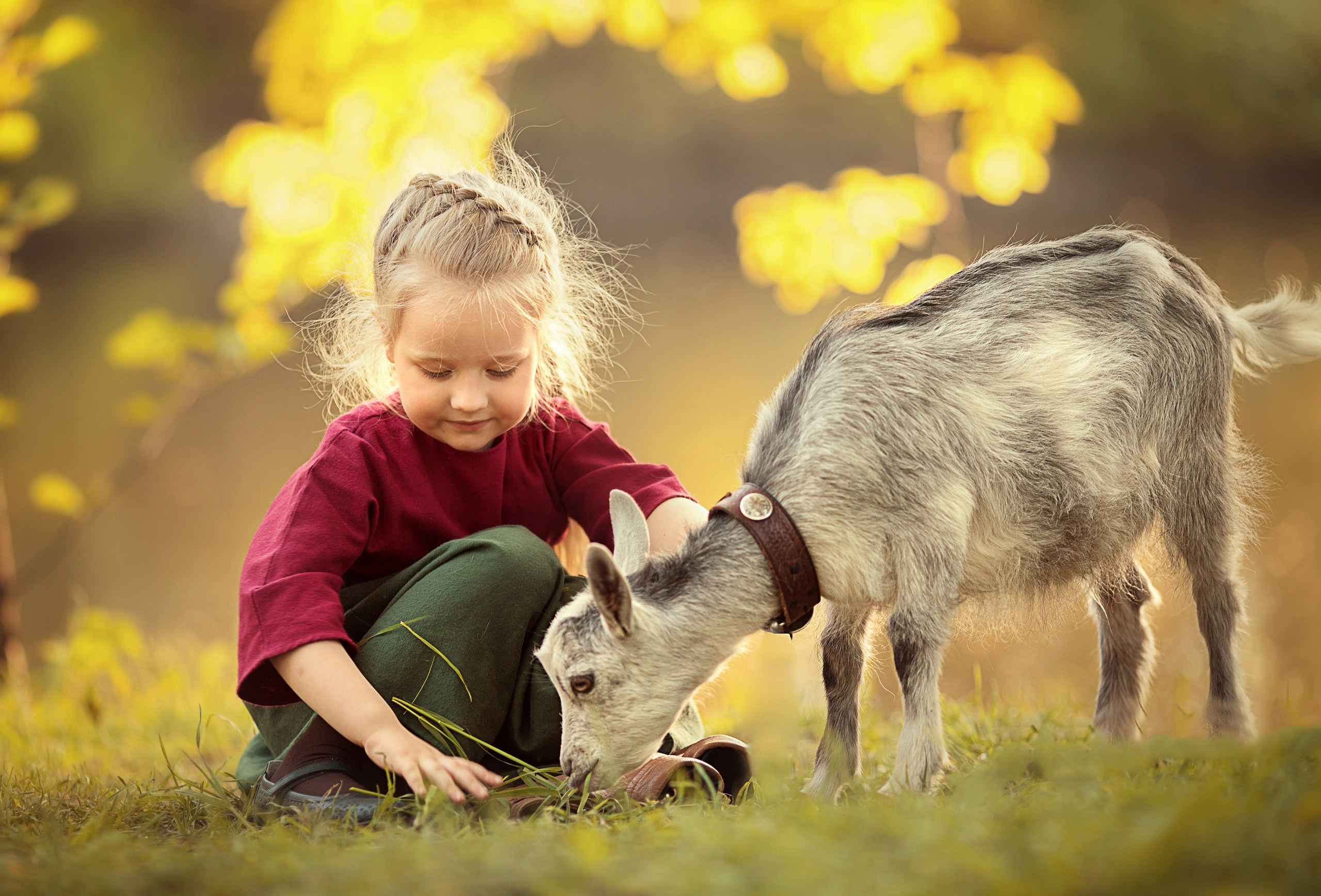 Фотосессии с животными. Детский и семейный фотограф Муксимова Ирина