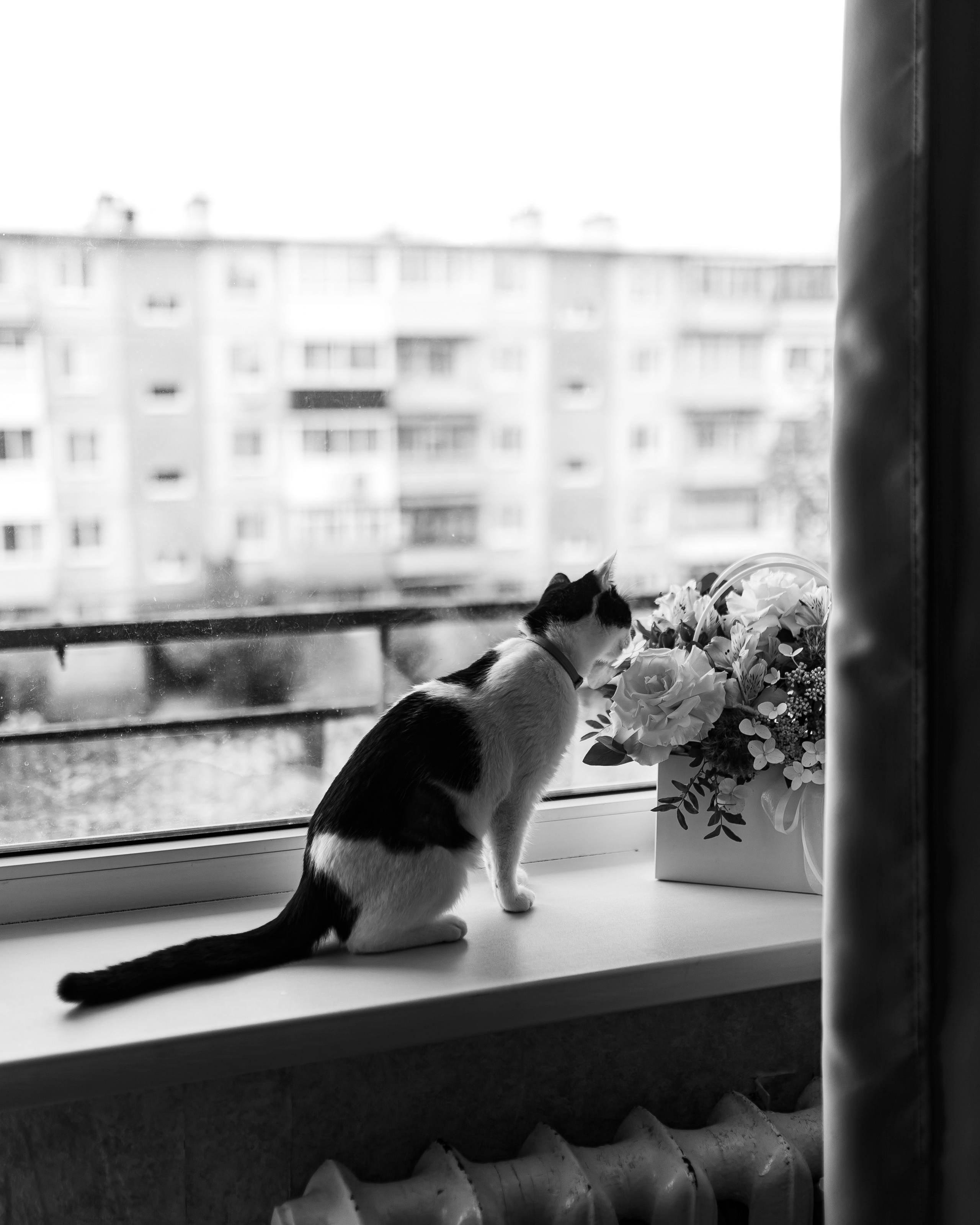 Никита и Татьяна. Фотограф|Катя Рикошетер