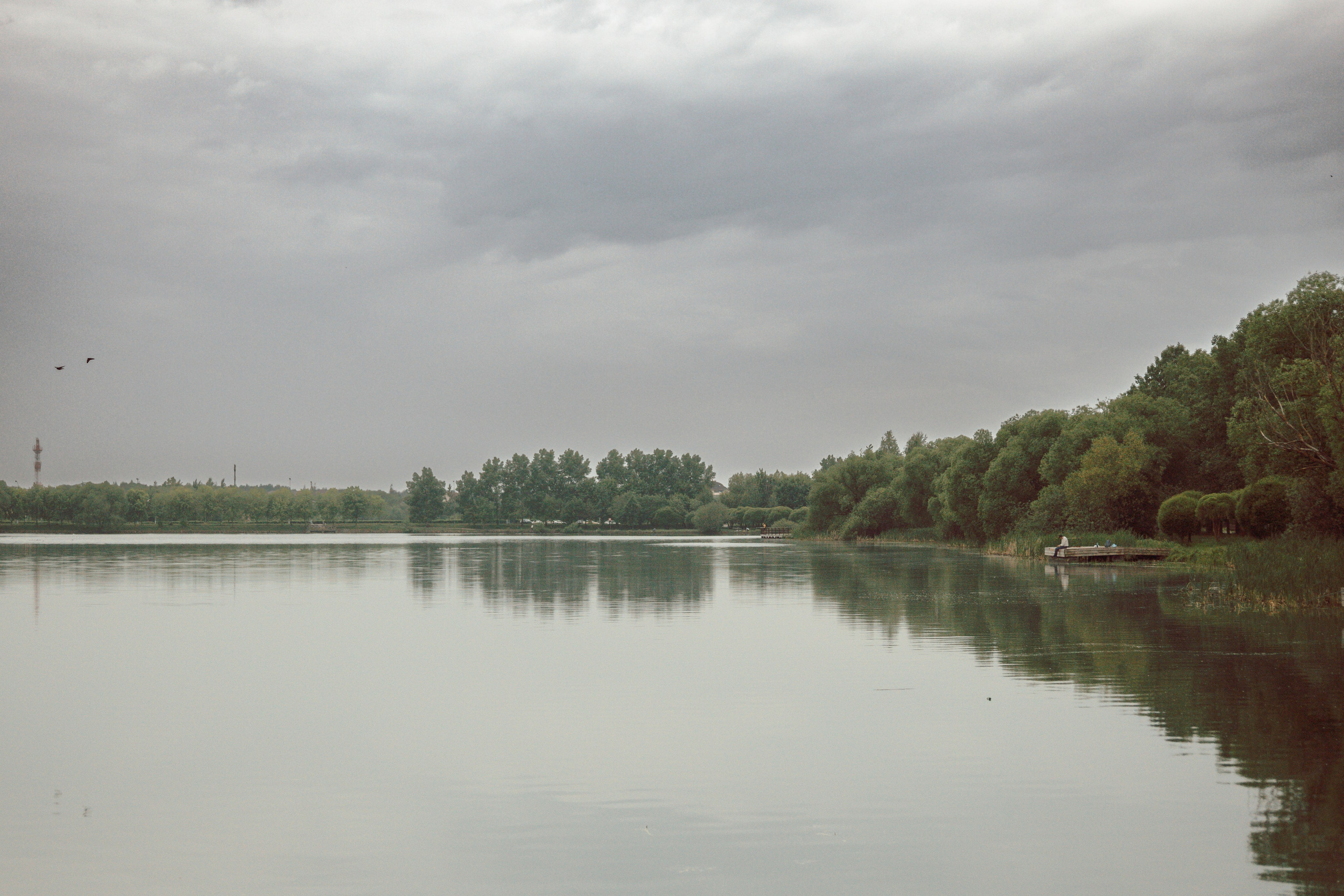 Моя маленькая спутница: Банни и Настя в Южнобутовском парке. Фотограф-анималист в Москве Екатерина Тихонова