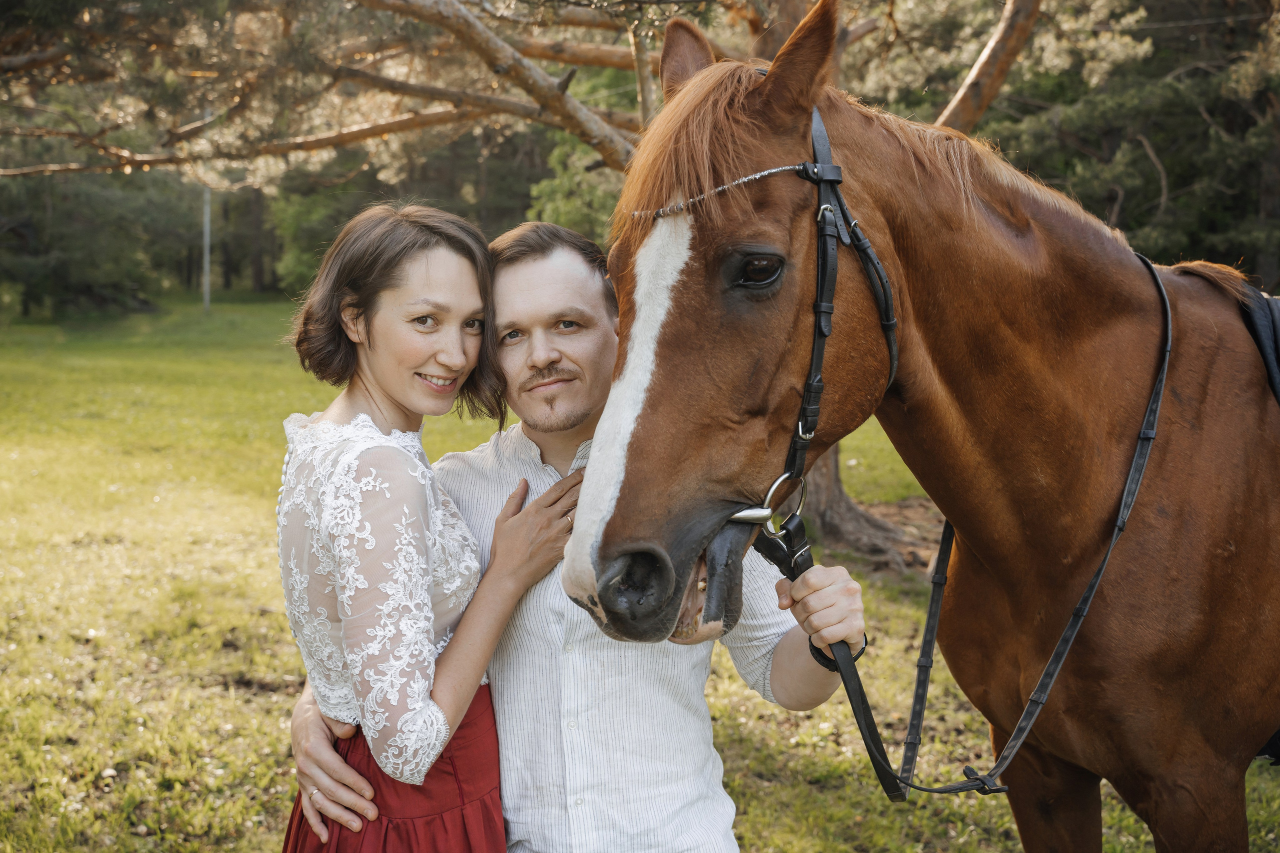 Семейная история с лошадьми. Главная