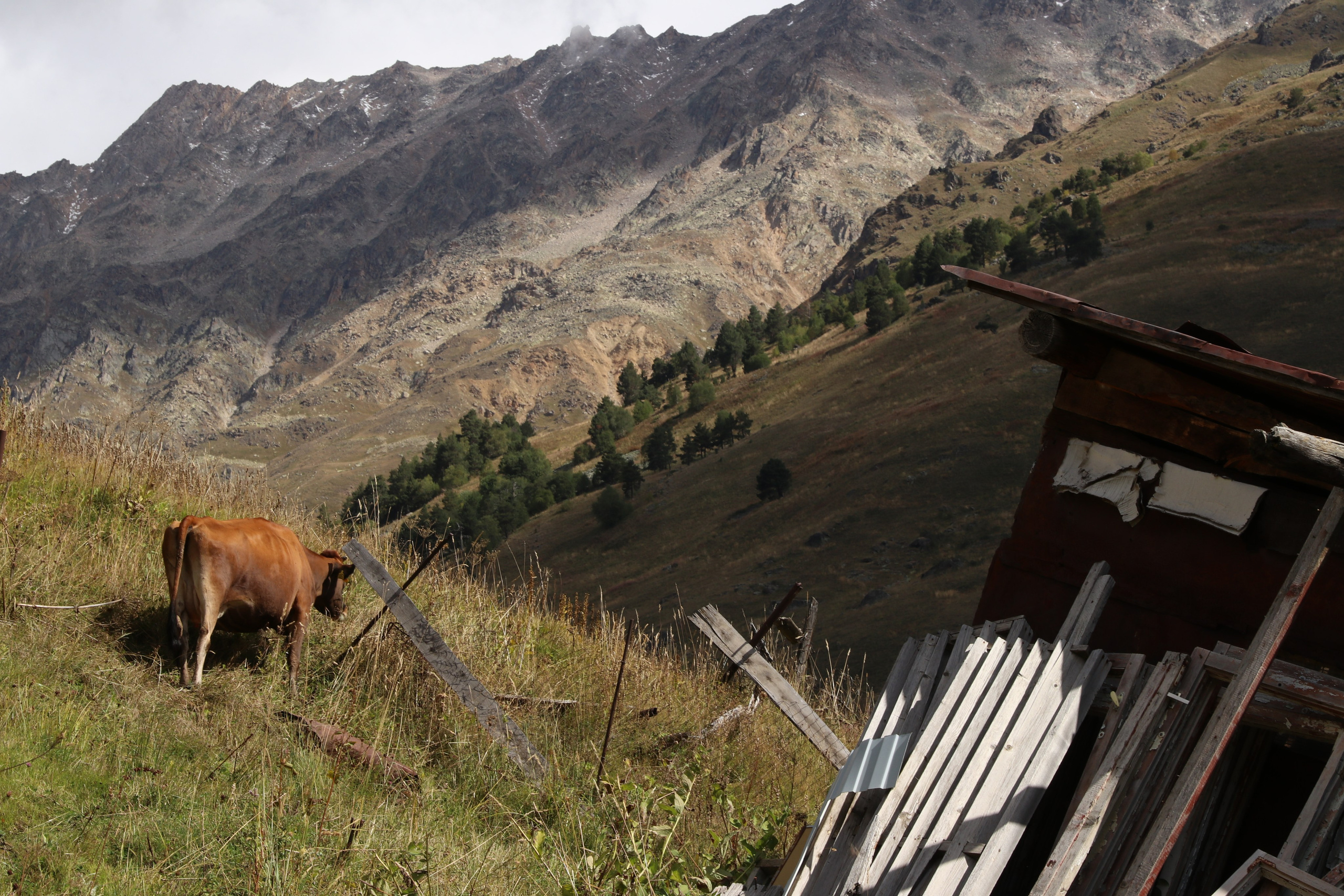 Приэльбрусье. Сентябрь 2023. Путешественник-фотограф из Санкт-Петербурга Татьяна Свистулина