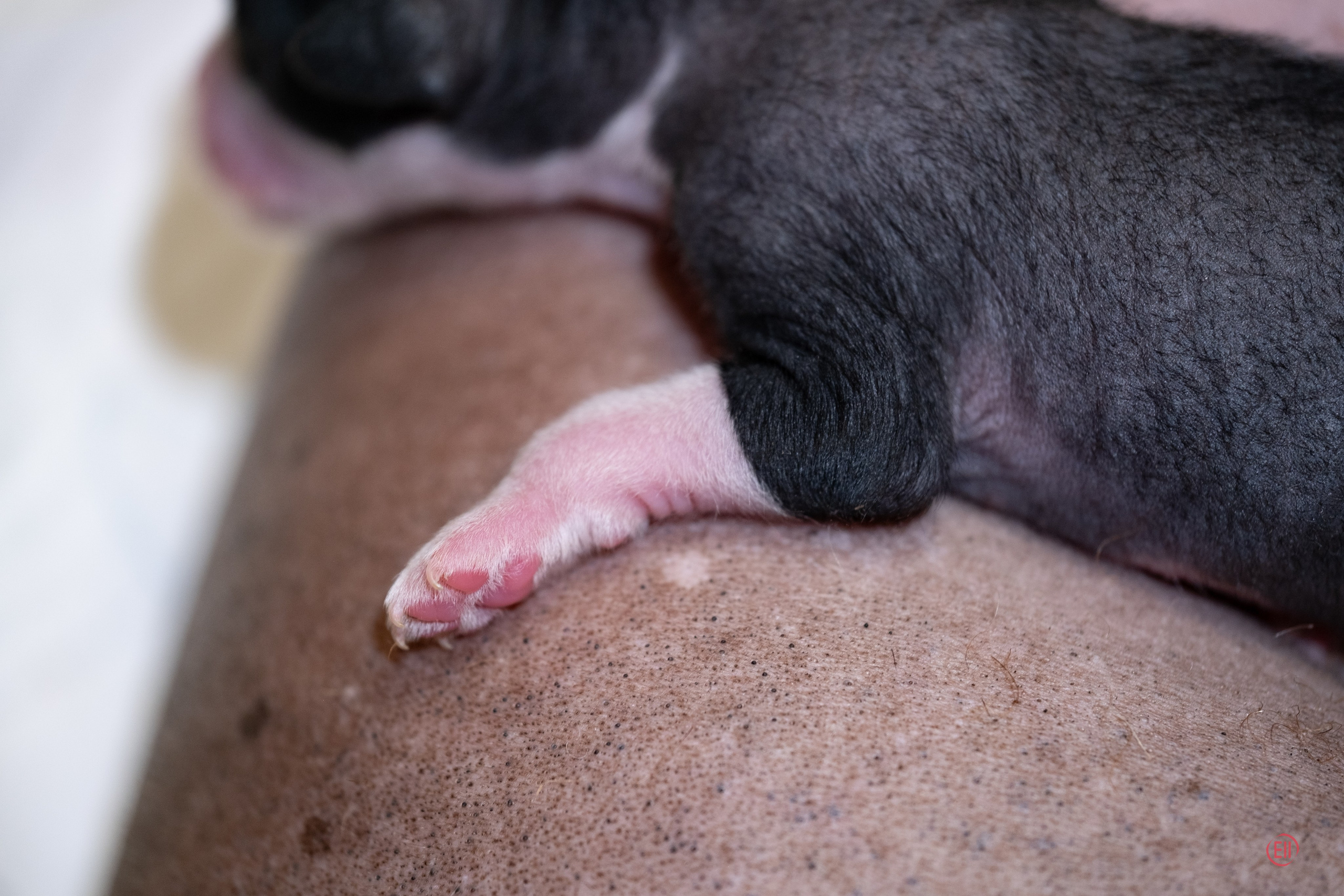 4-й день. Poale Ell Dasha