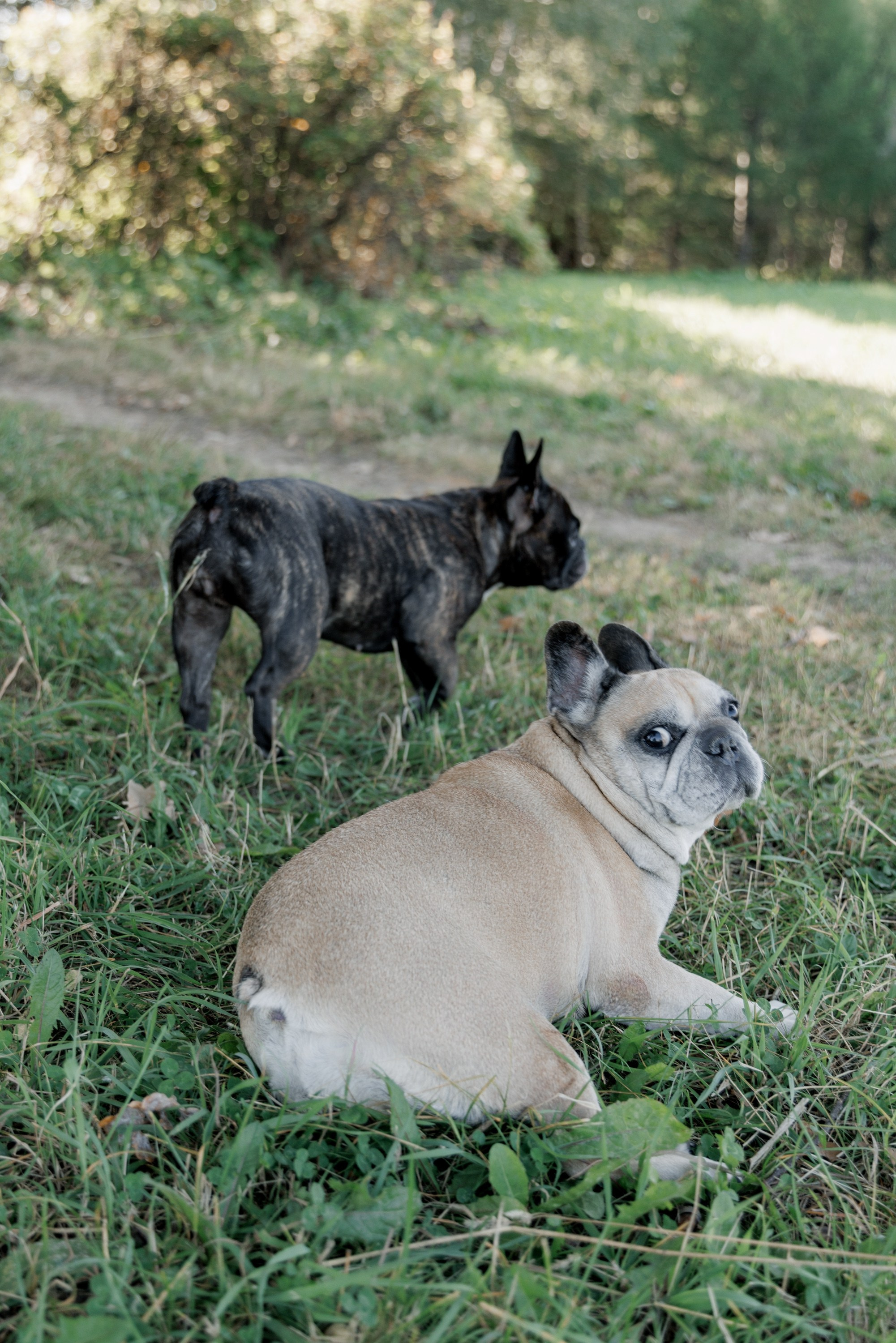 Теплая история в парке. Кравченко Сергей — фотограф для тебя в Москве