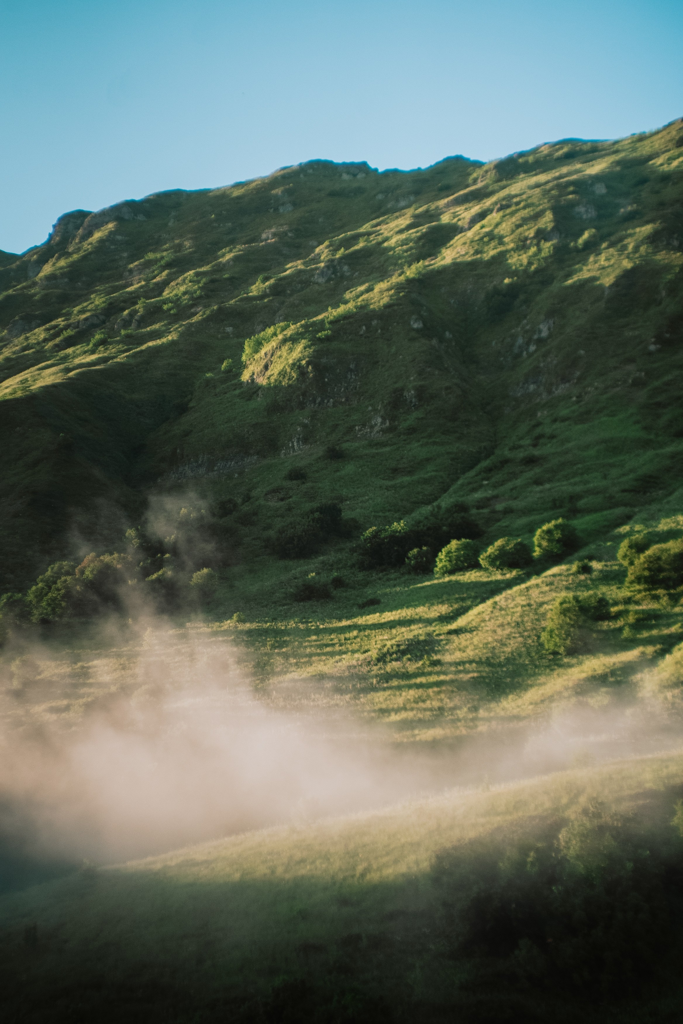 Нахазо ✽ Июль. Репортажный фотограф | Роза Хутор Красная Поляна Сочи Сириус