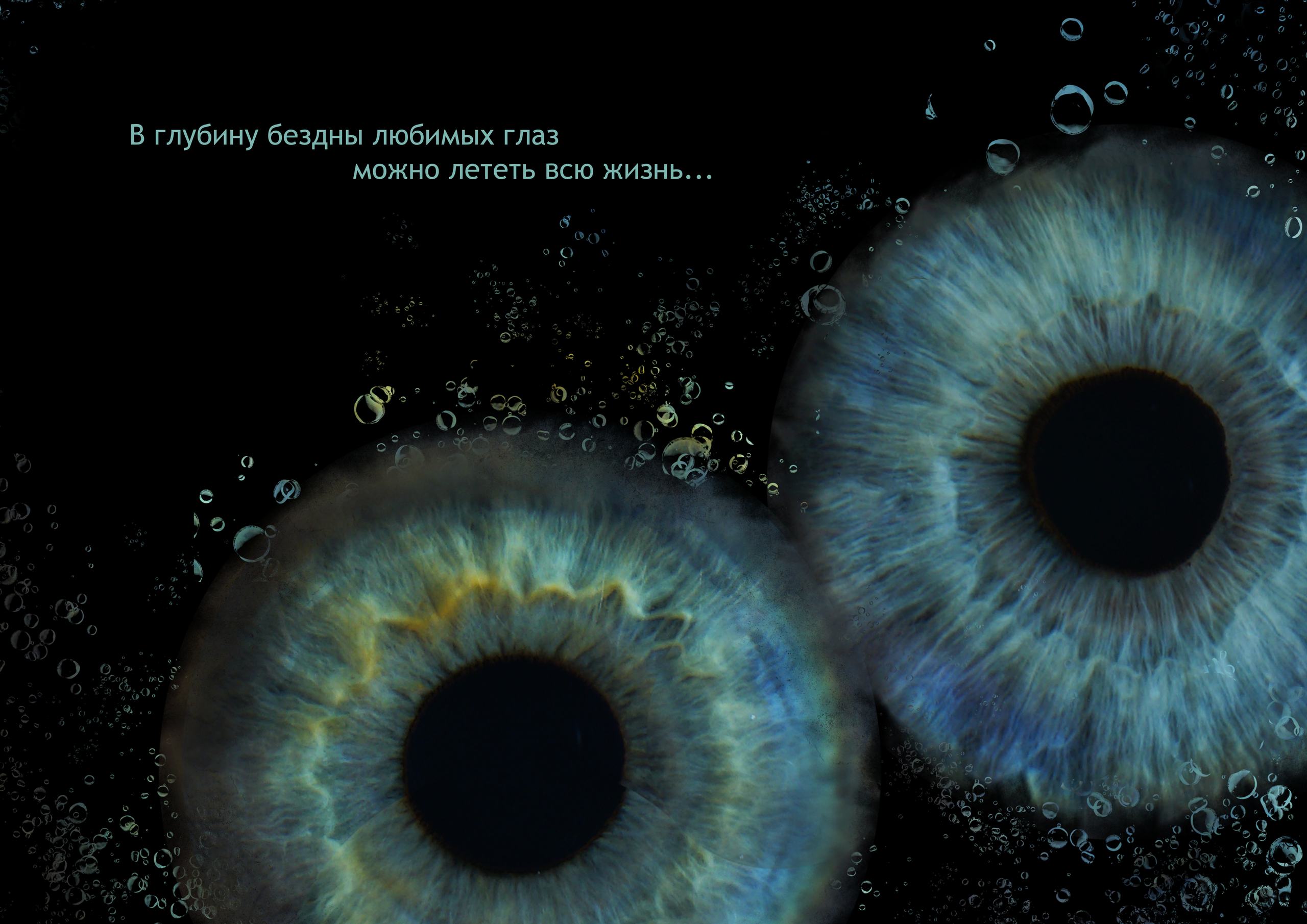 Дарья 11021640. ShowLab