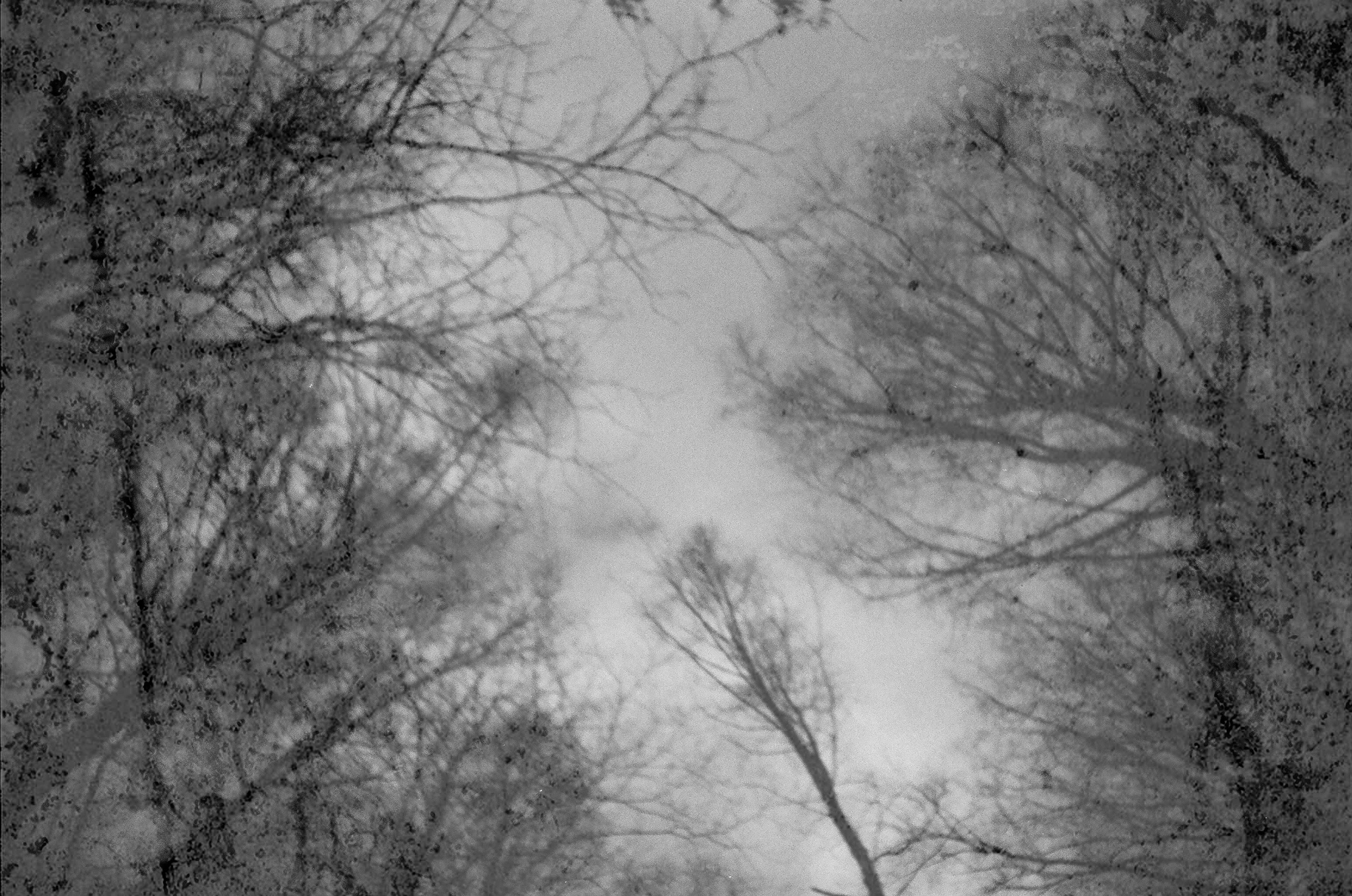 Таня Красехина | Иду к себе, домой. Private image