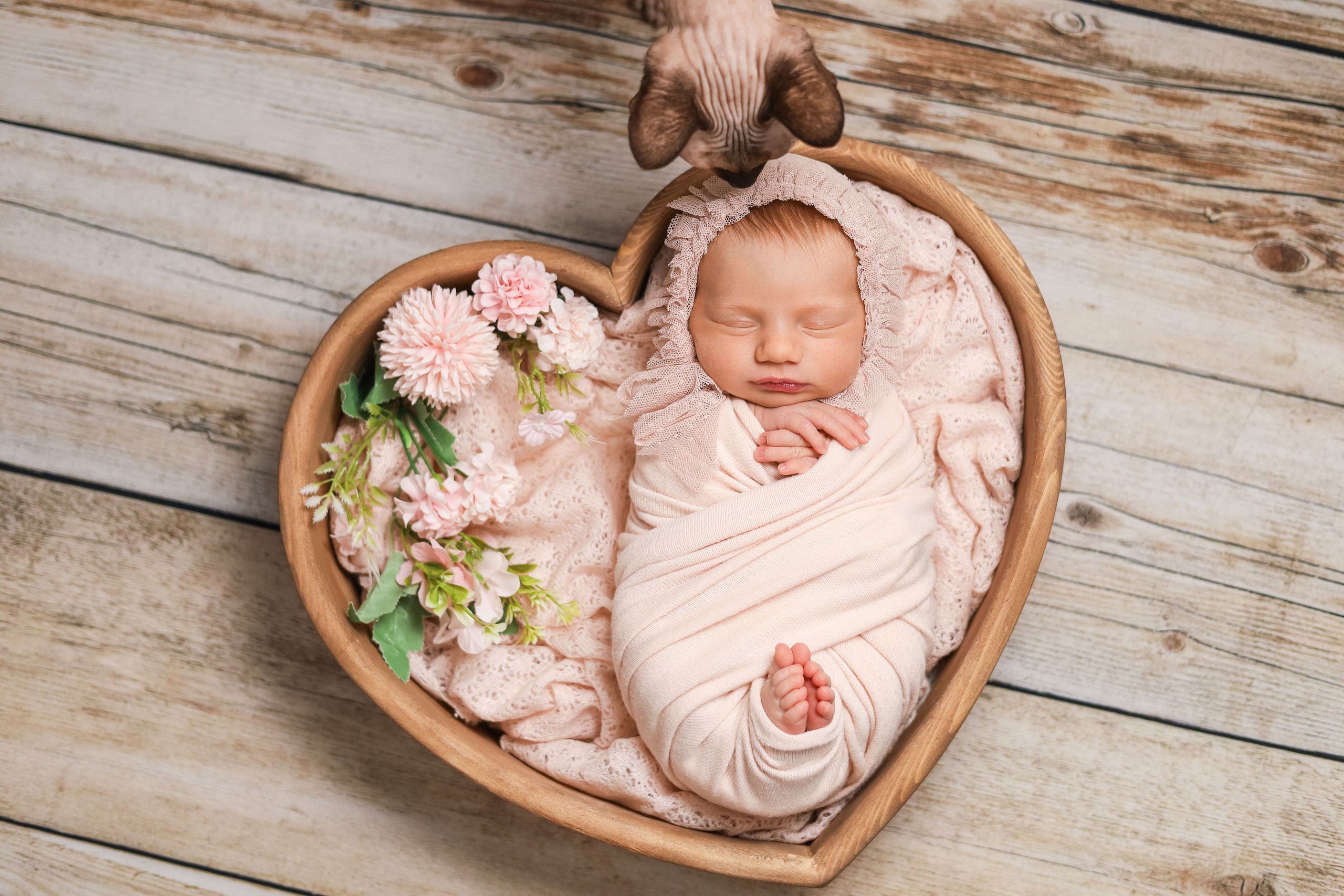 Новорожденные. Фотограф новорожденных Новосибирск