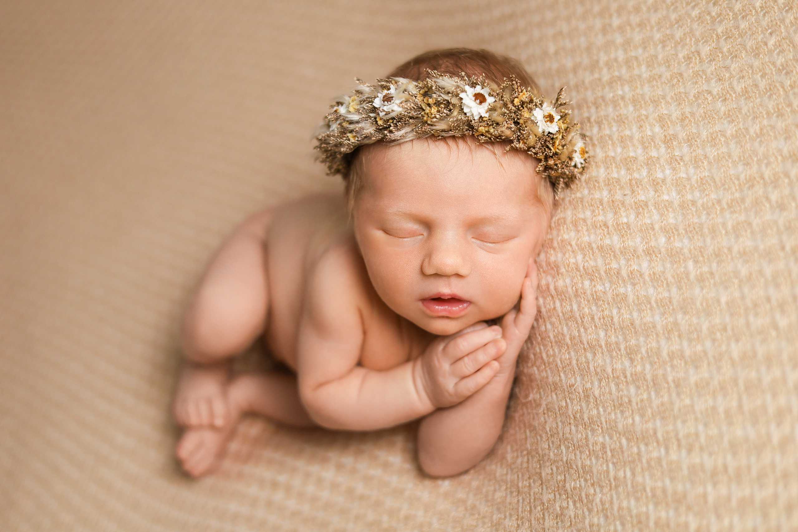 Новорожденные. Фотограф новорожденных Новосибирск