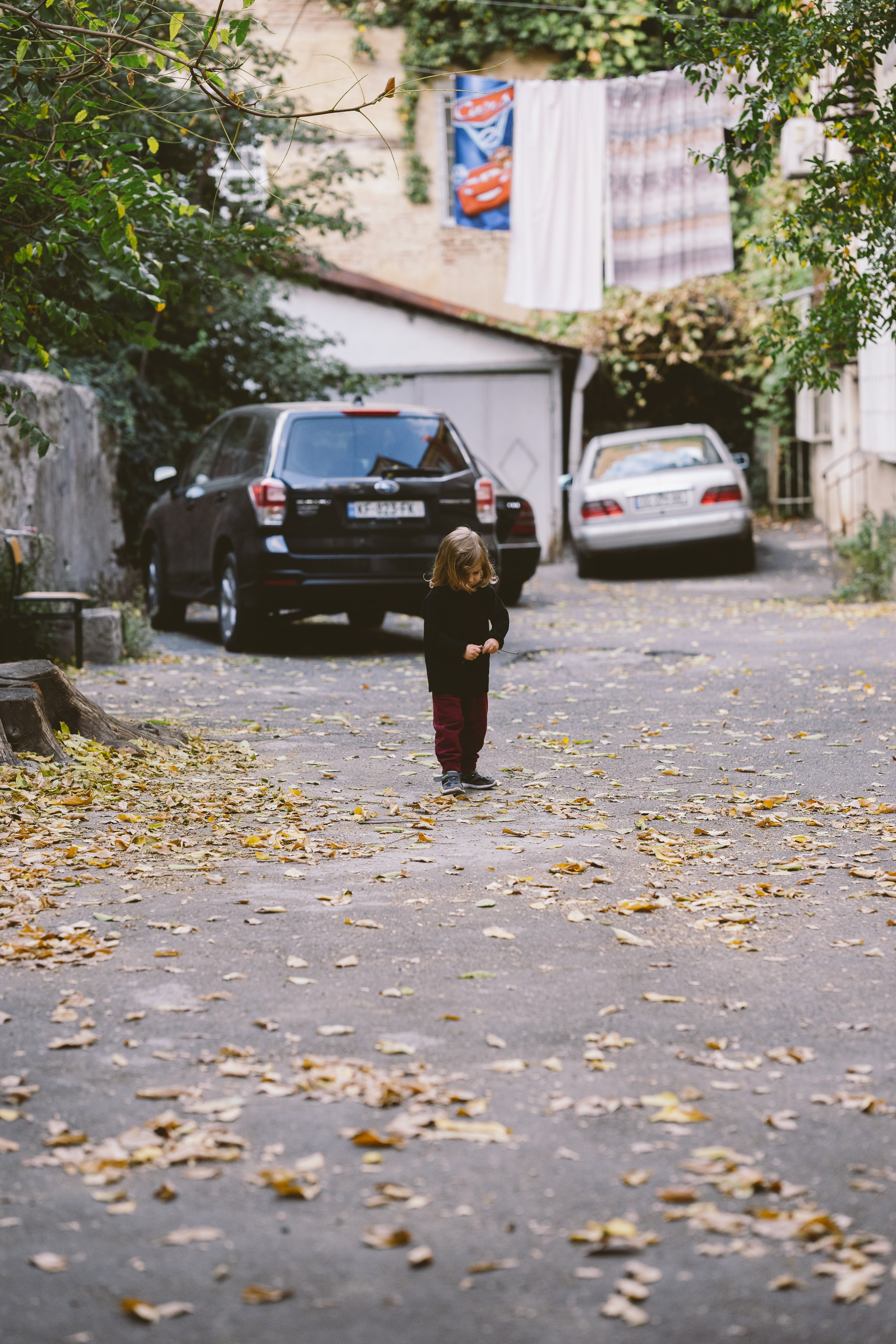 …история о прогулке в старом городе и семье. Марковы: фото, видео, кино и книги