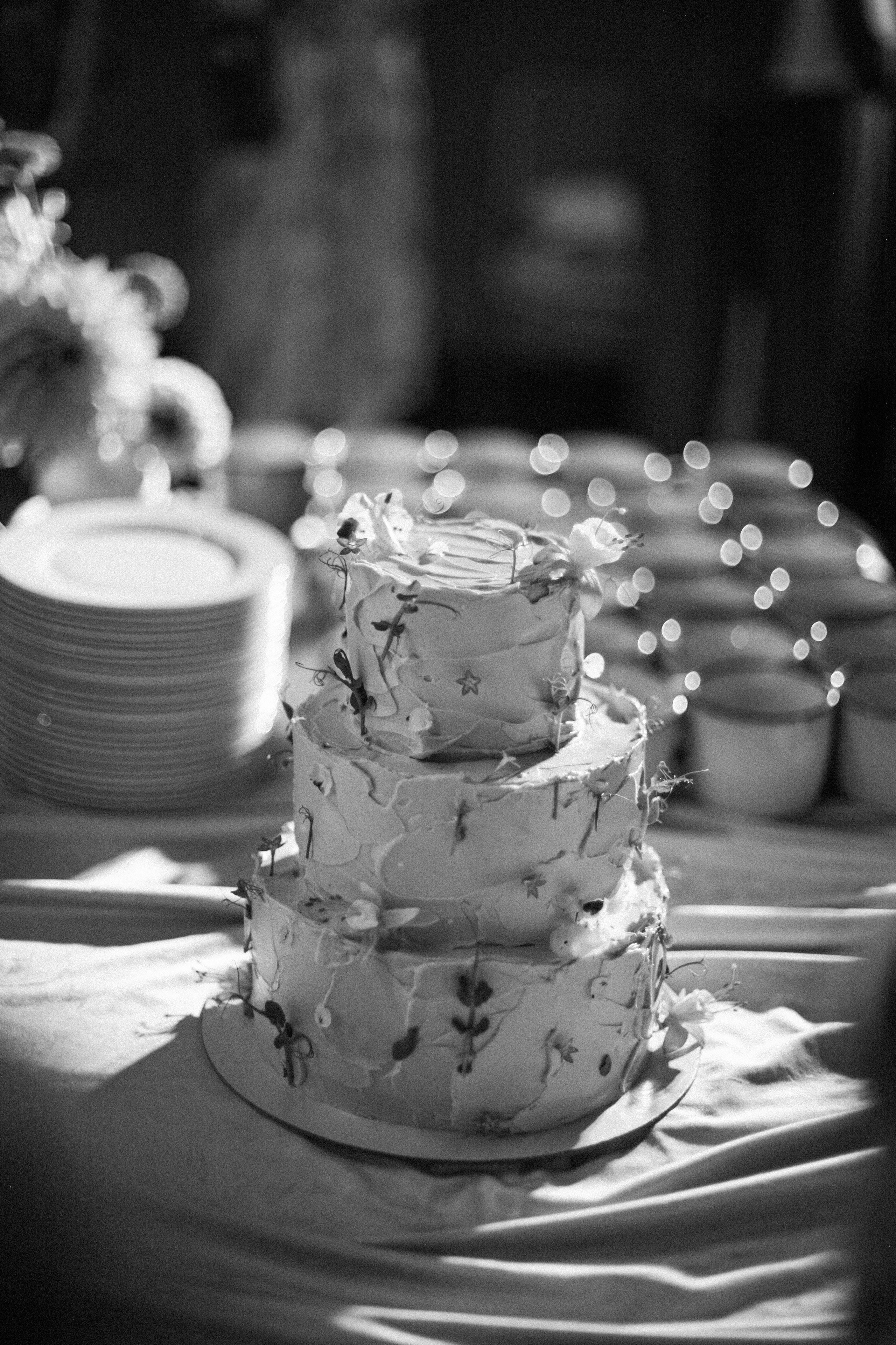 Аня и Кирилл (полный день с росписью). Фотограф Екатерина Максимова: семейные, индивидуальные съемки, свадьбы