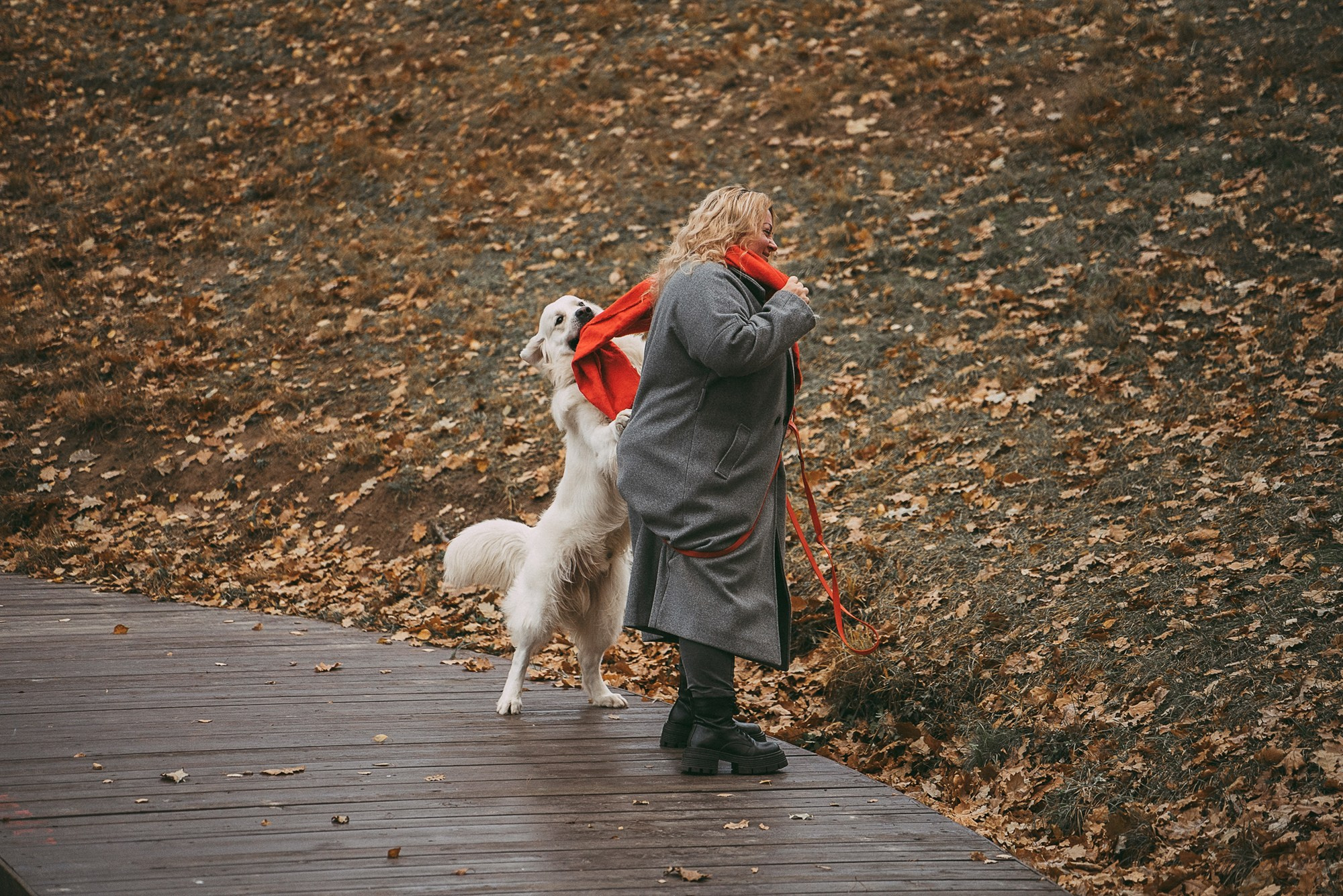 Лена и Мерлин. Фотограф анималист в Москве и Санкт-Петербурге Свиридова Анна