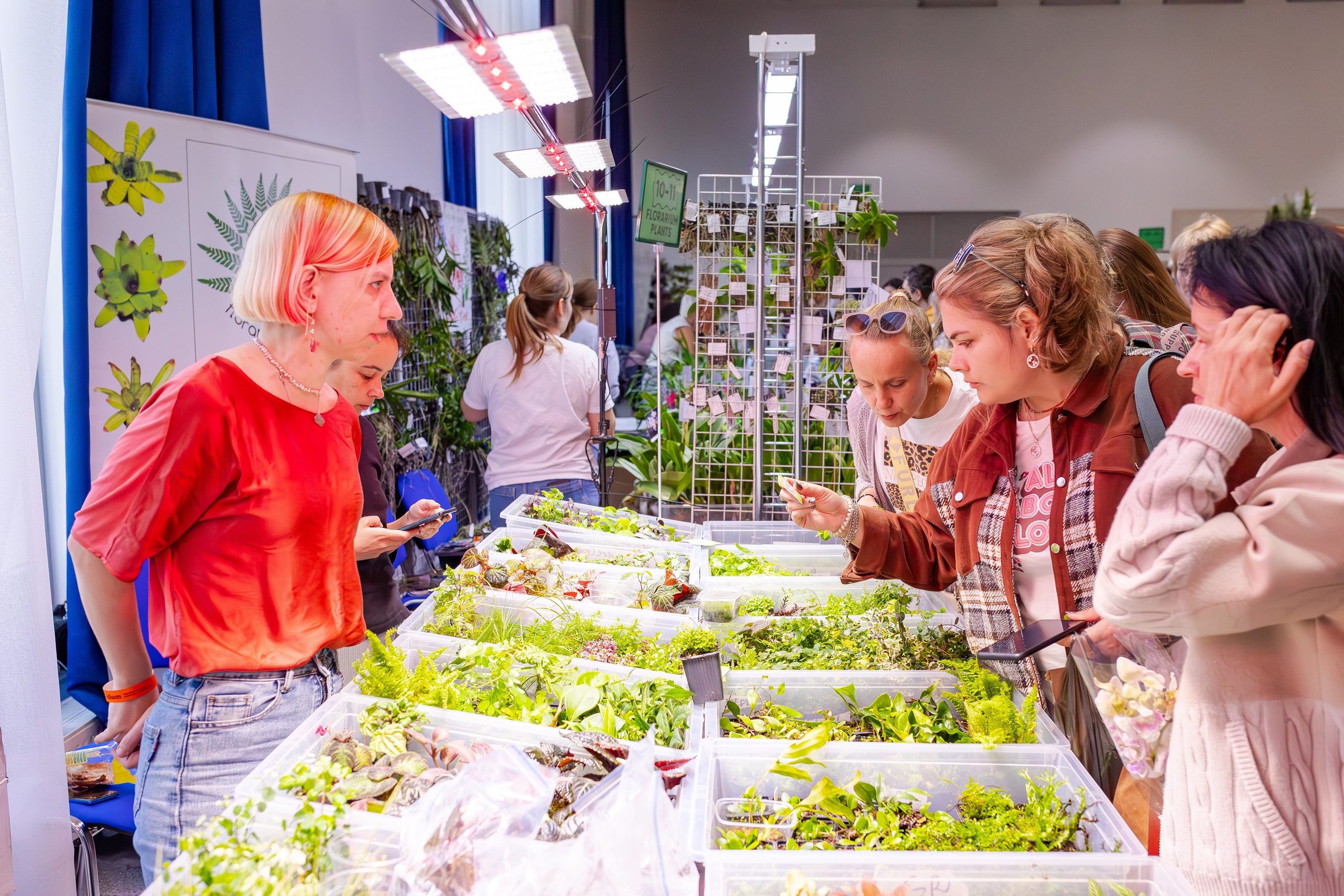 Орхидиум сентябрь 2025. Александра Куликова фотограф, Москва