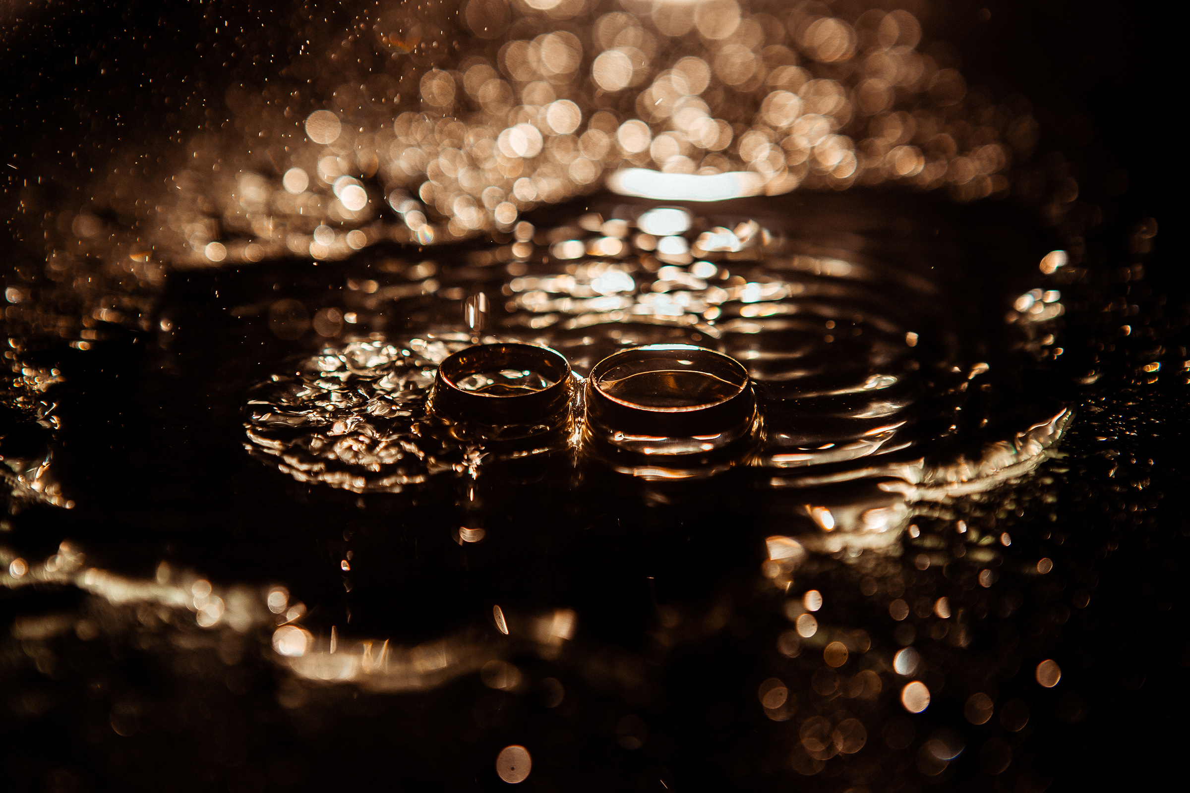 Марго и Данил 21.09.2019. Семейный фотограф, свадебный фотограф, детский фотограф в Краснодаре А