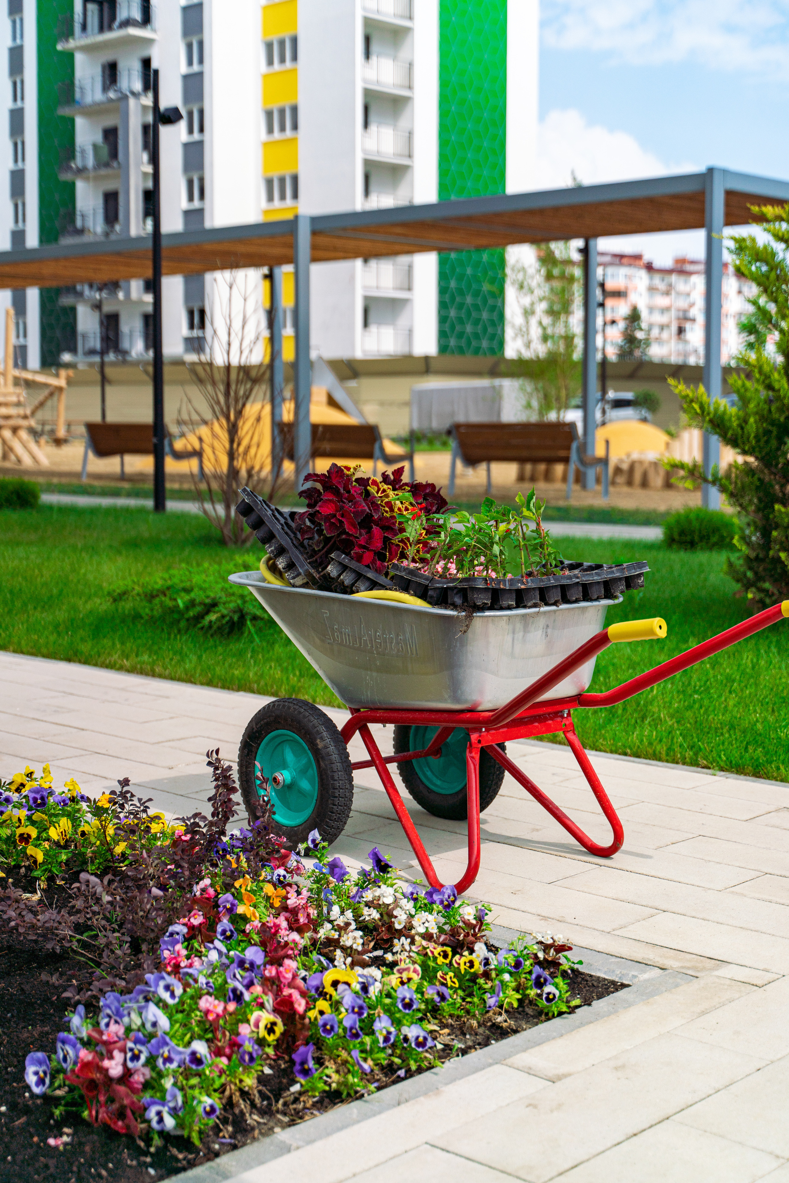 Неометрия. Создаю контент для бизнеса- Андрей Корниенко и упаковываю компании и экспертов в Краснодаре