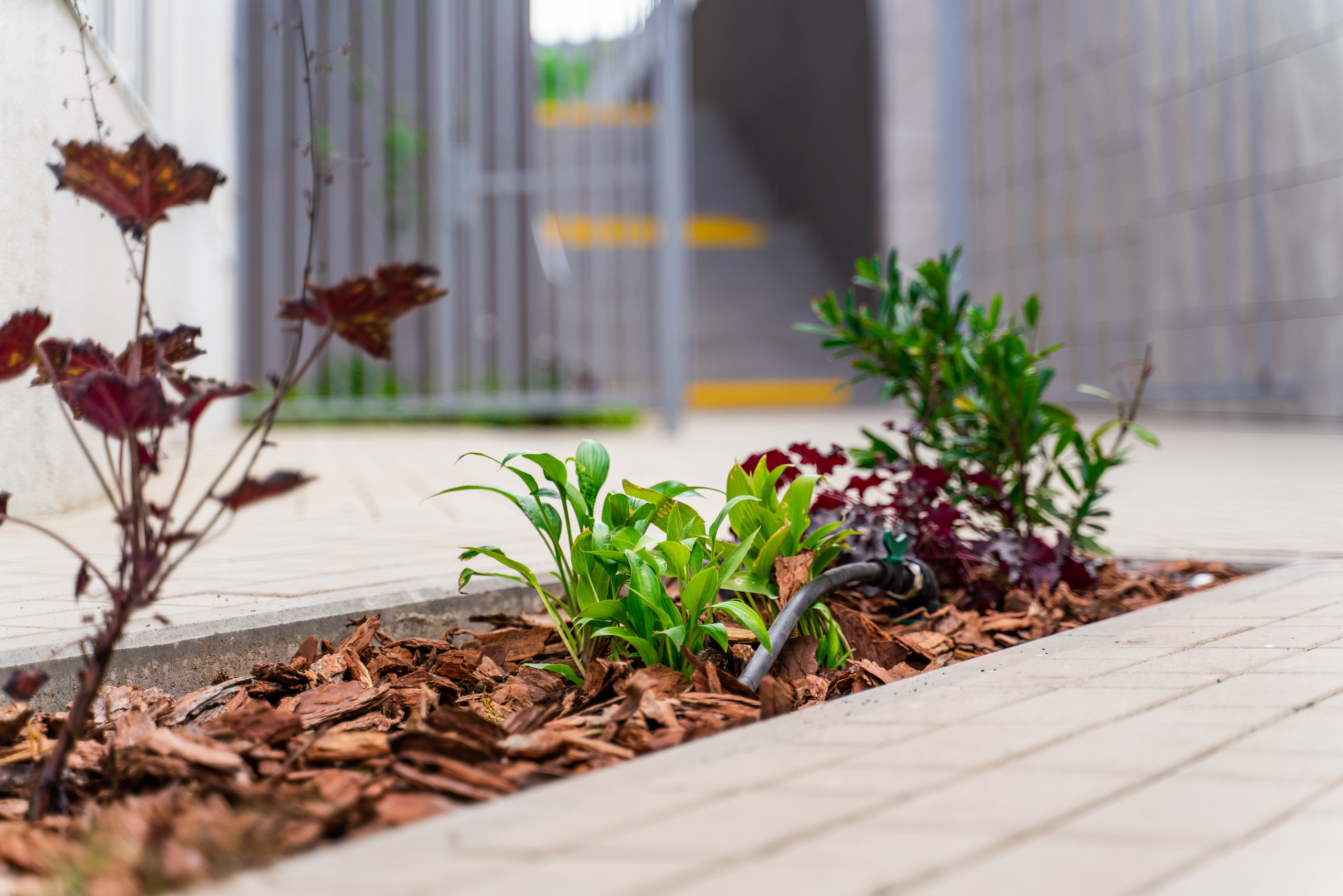 Неометрия. Создаю контент для бизнеса- Андрей Корниенко и упаковываю компании и экспертов в Краснодаре