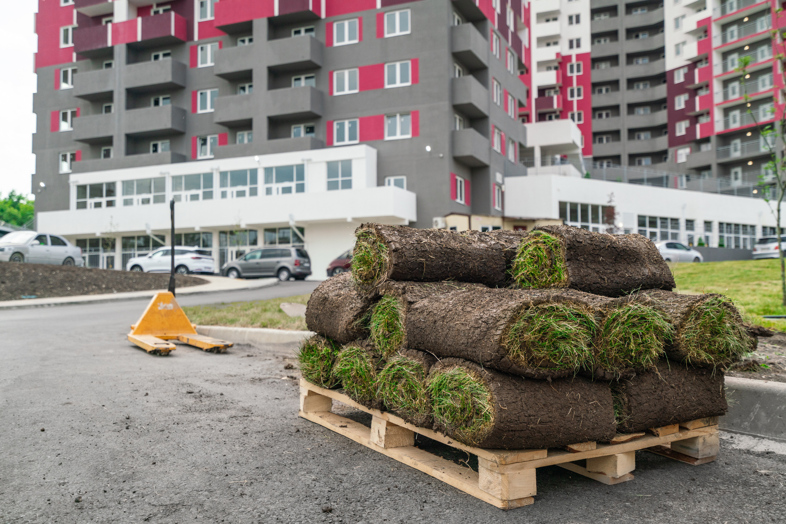 Неометрия. Создаю контент для бизнеса- Андрей Корниенко и упаковываю компании и экспертов в Краснодаре