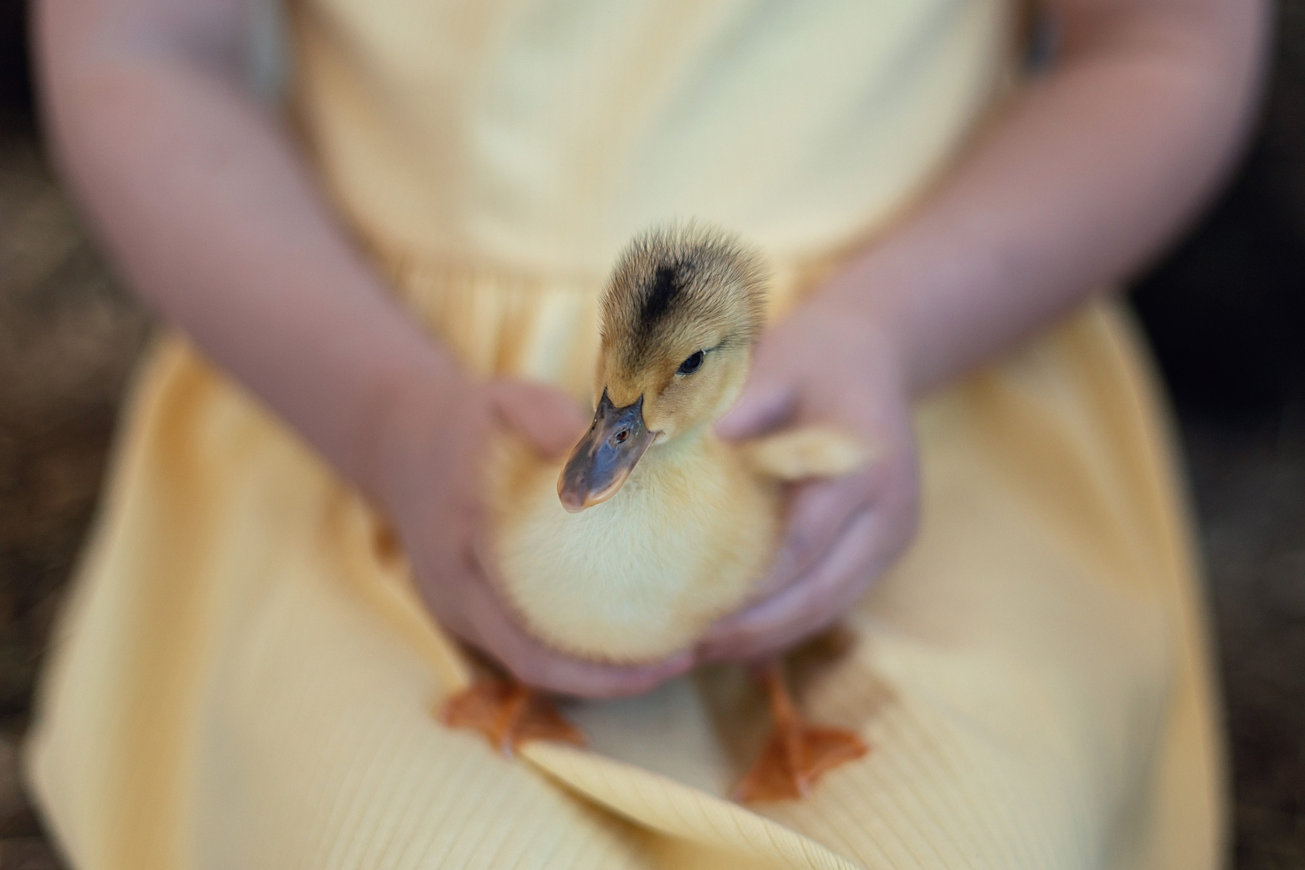 С утятами🐤. Семейный фотограф в Санкт-Петербурге