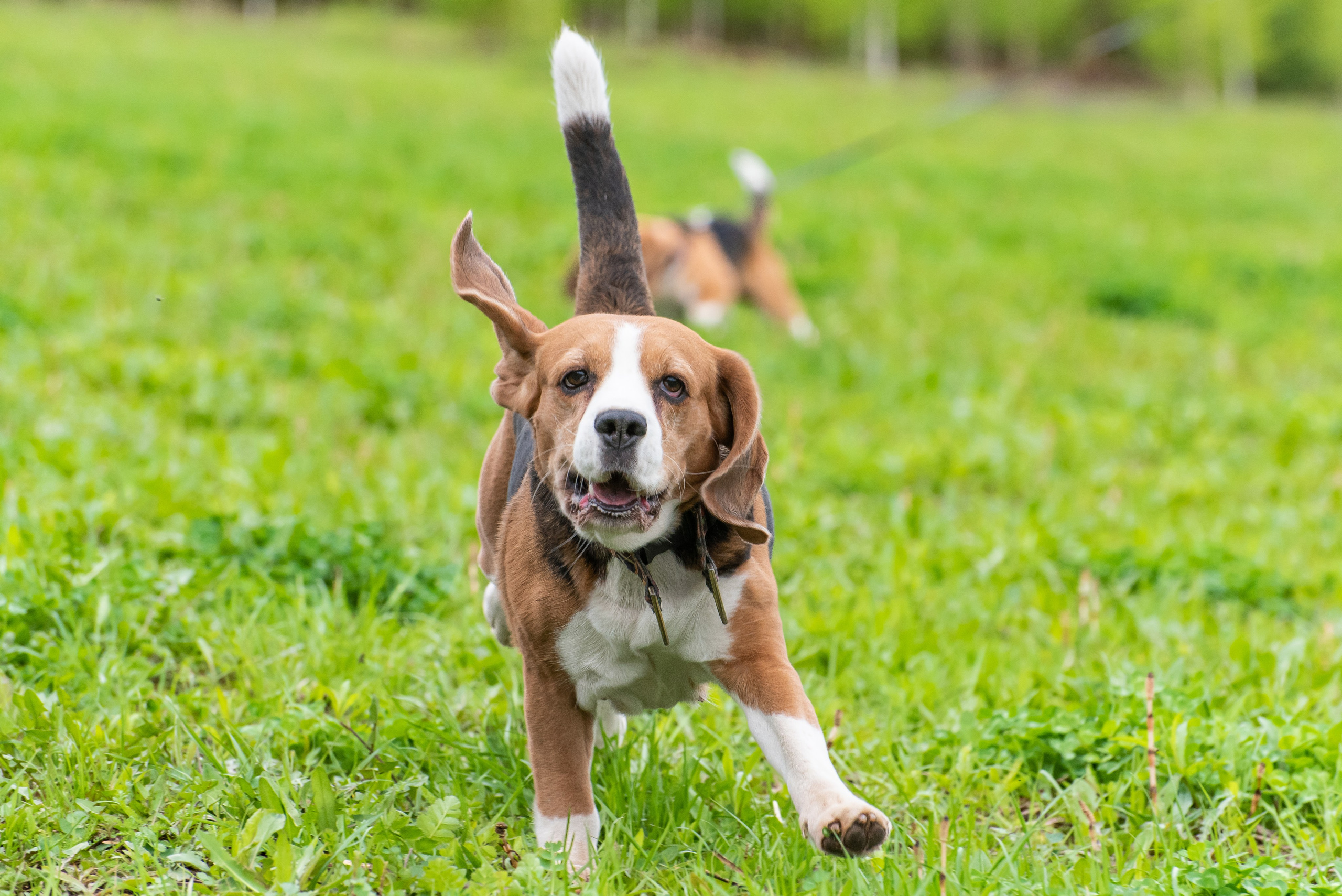Фотографии с Курсинга. Фотограф Макс Огурцов в Нижнем Новгороде