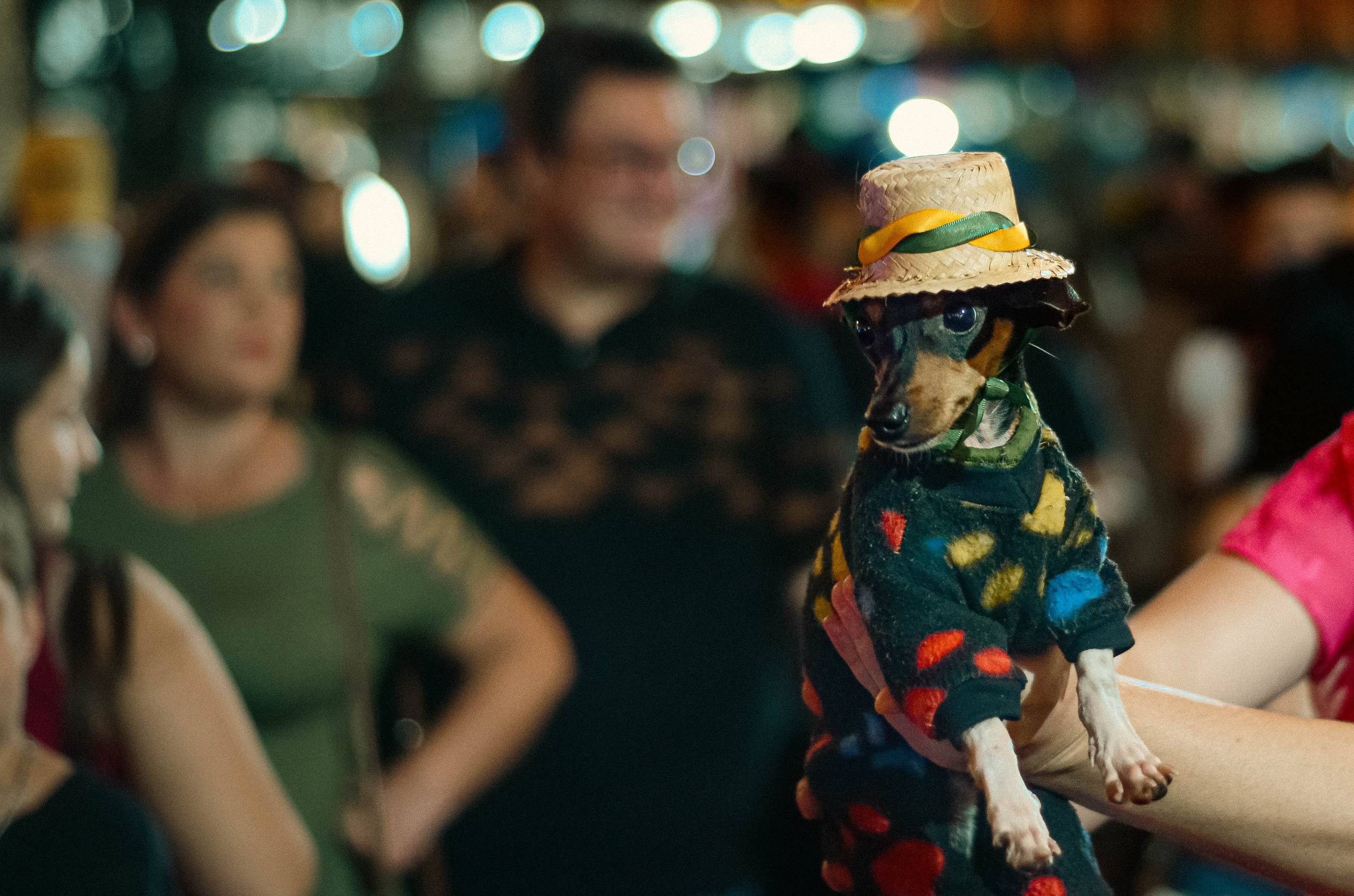 Festa Junina. Fotógrafo | Sessão de fotos