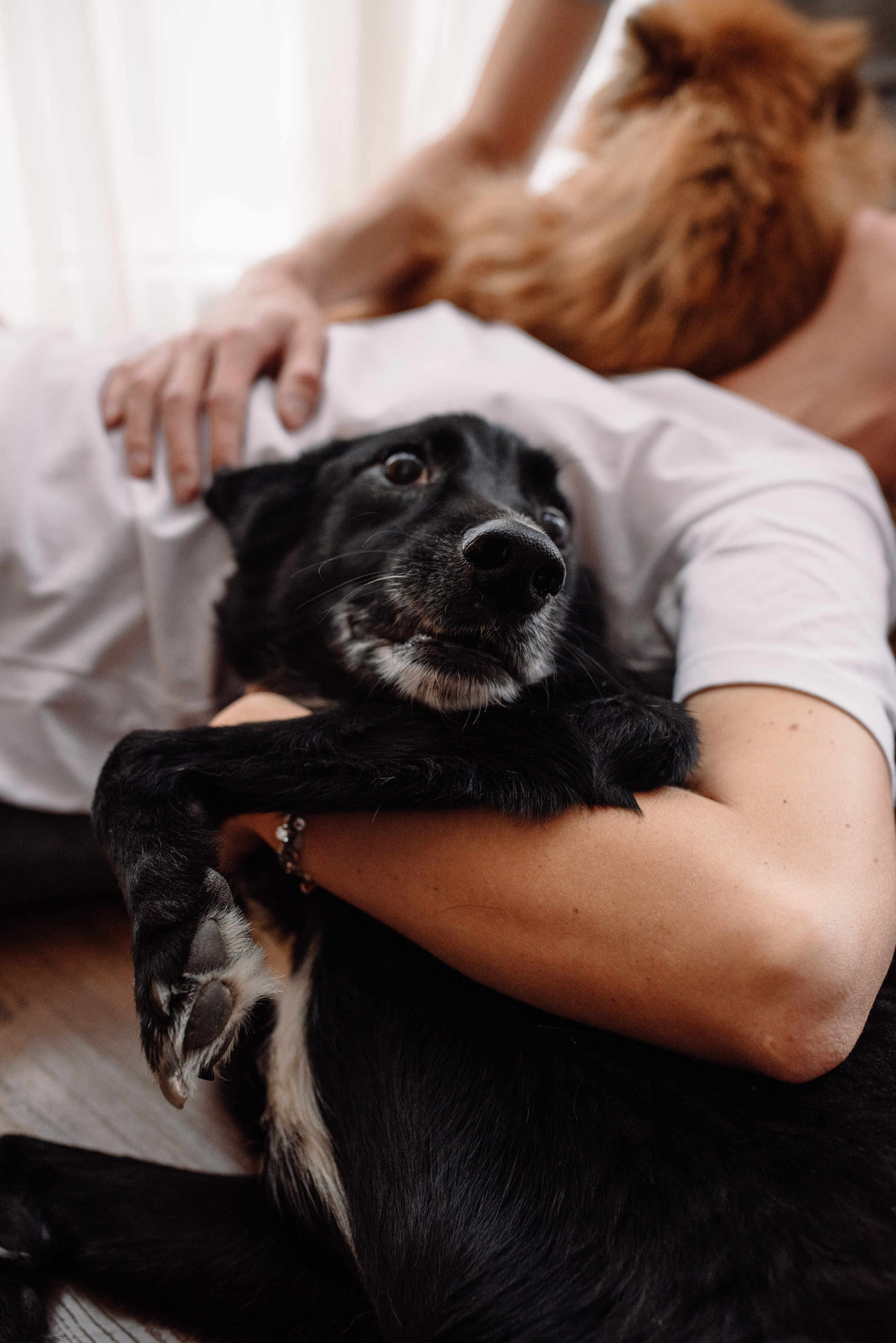 Ульяна и Владимир. Портретный фотограф в Ереване и Челябинске Шаханская Ольга