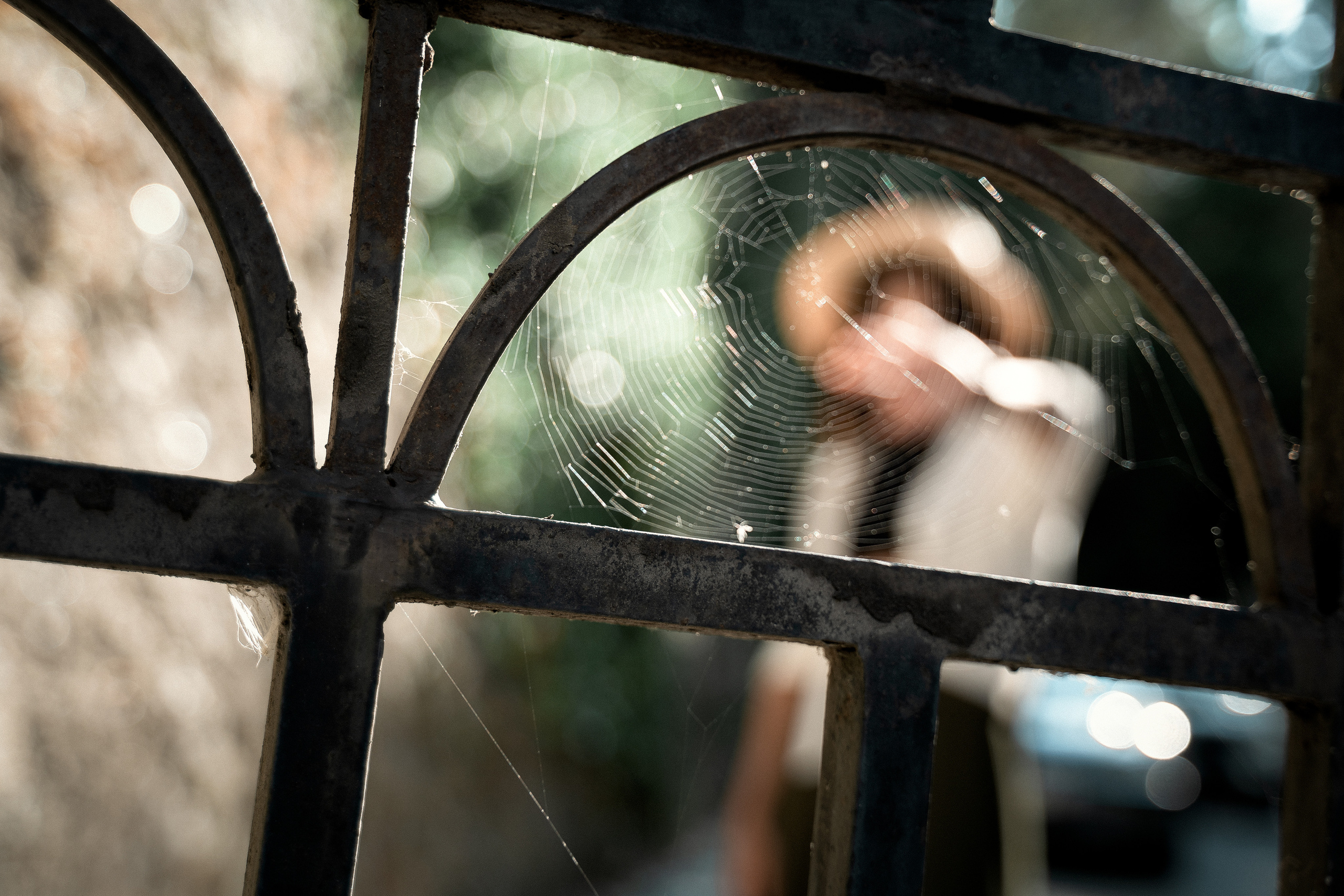 Прогулочная летняя съёмка для Екатерины. Фотограф в Москве и МО Александр Тощев