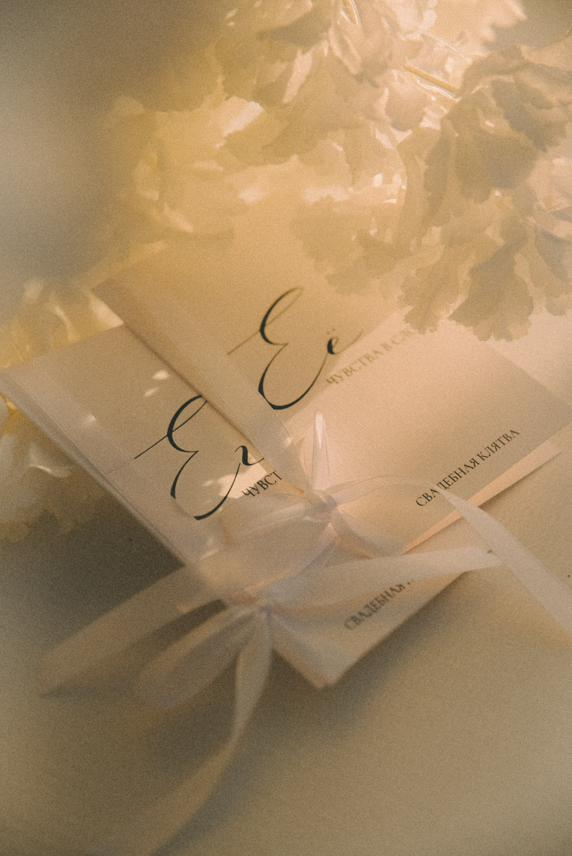 Александр и Валерия. Курск. Свадебный и семейный фотограф в Курске Николай Бусел