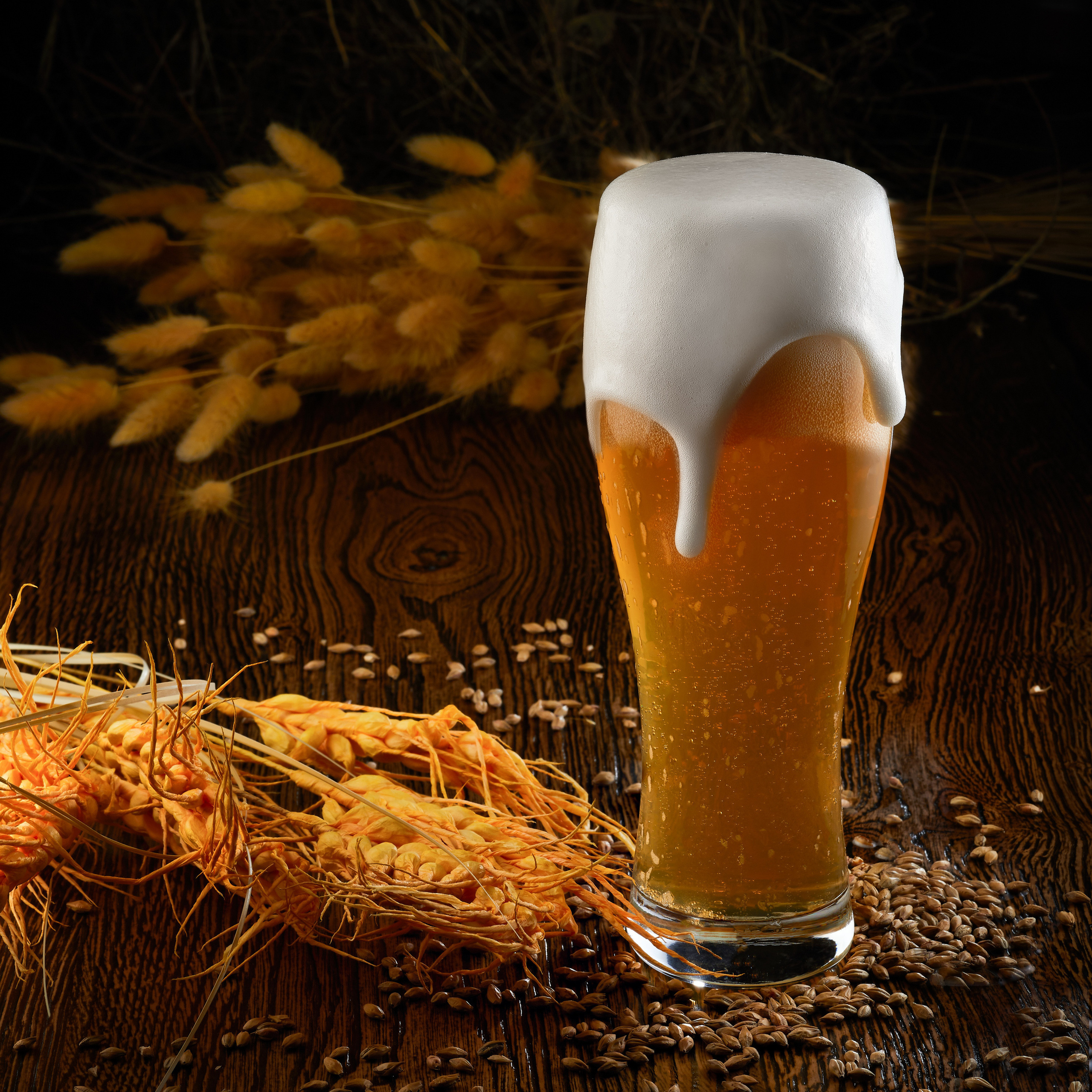 Съемки для меню ресторанов Курска. Максим Бондарев, коммерческий фотограф для бизнеса | Курск