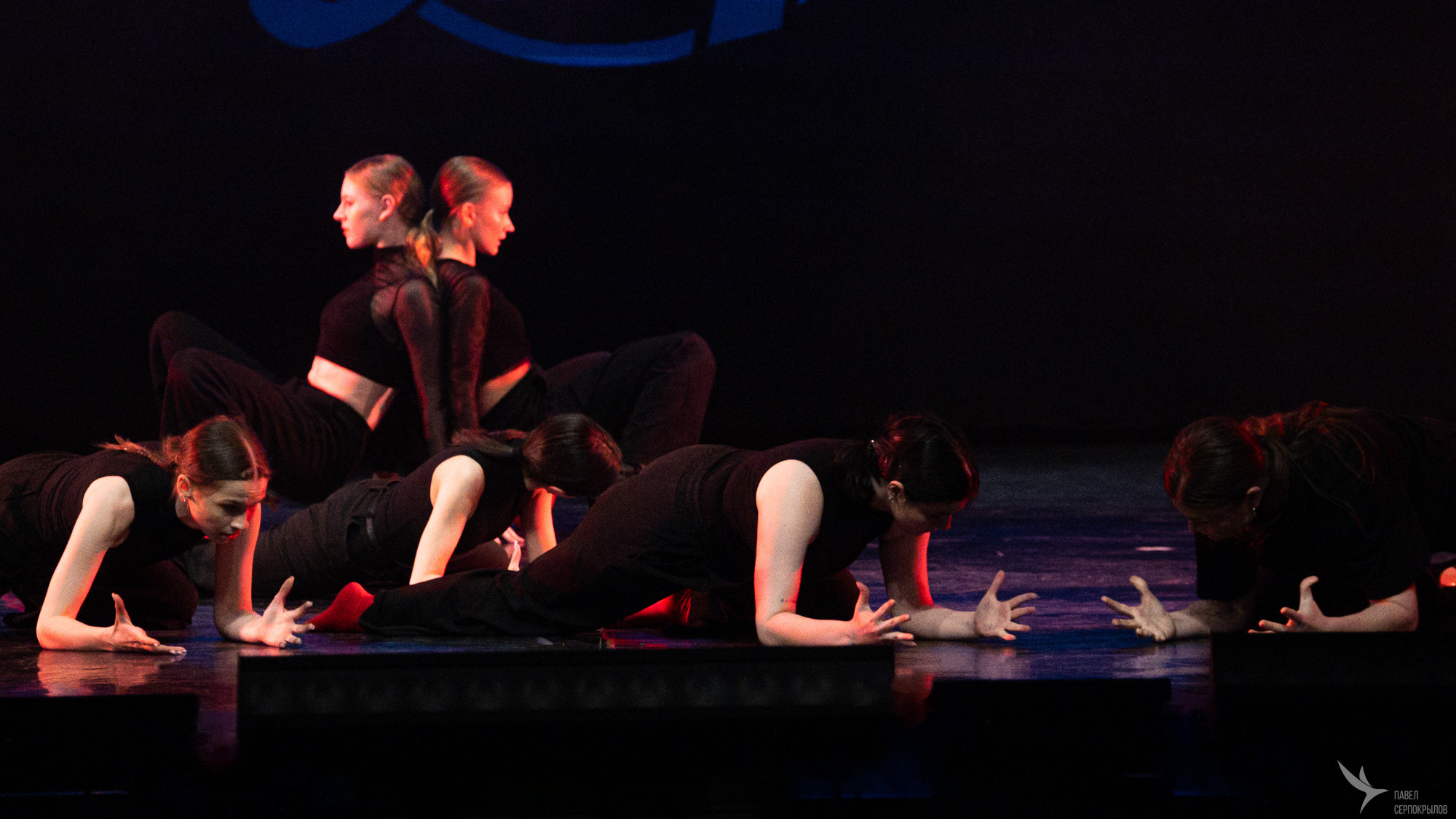 Kingstep Show 10. Репортажный фотограф в Казани Павел Серпокрылов