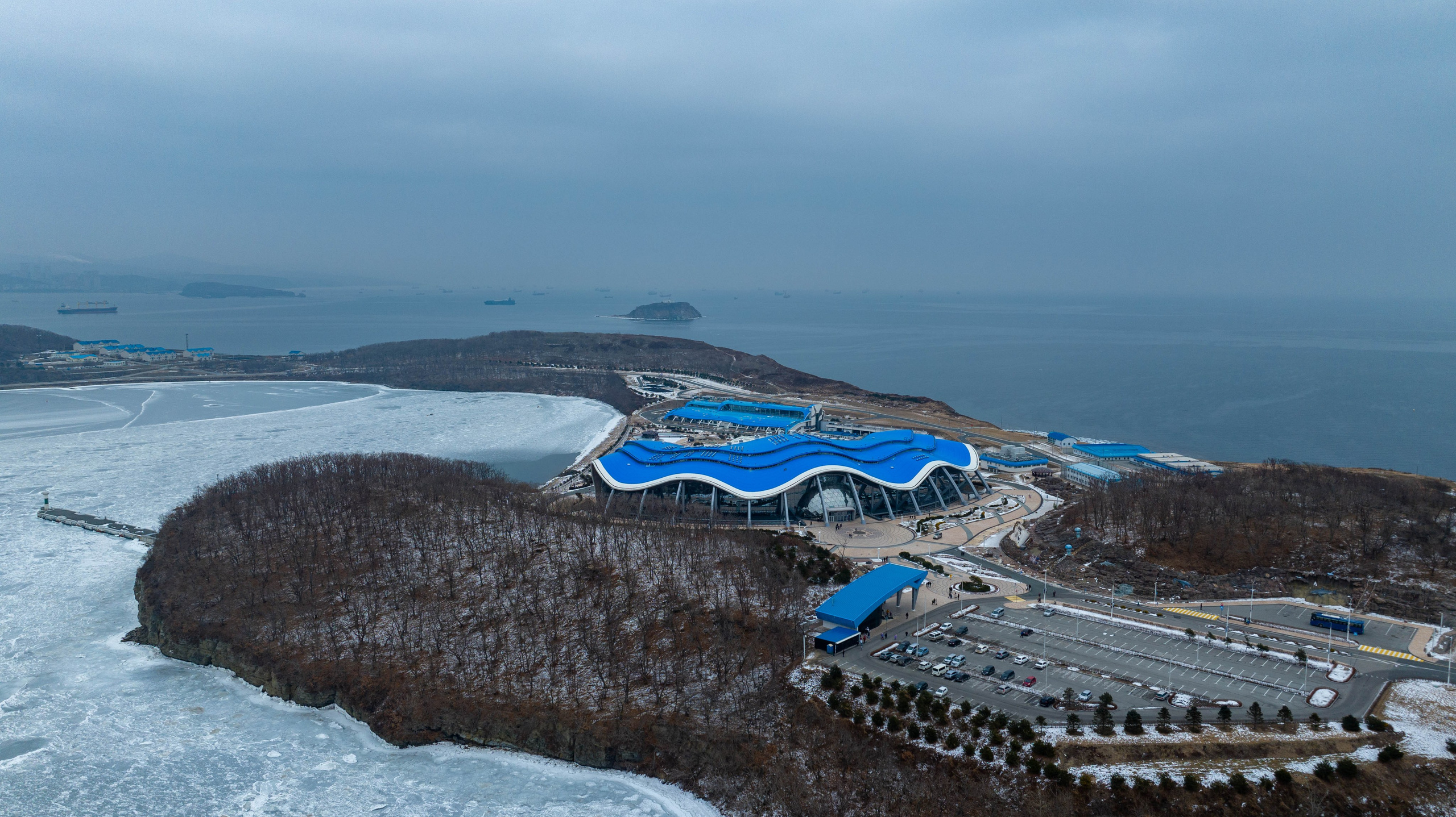 Океанариум. Турист оптимист