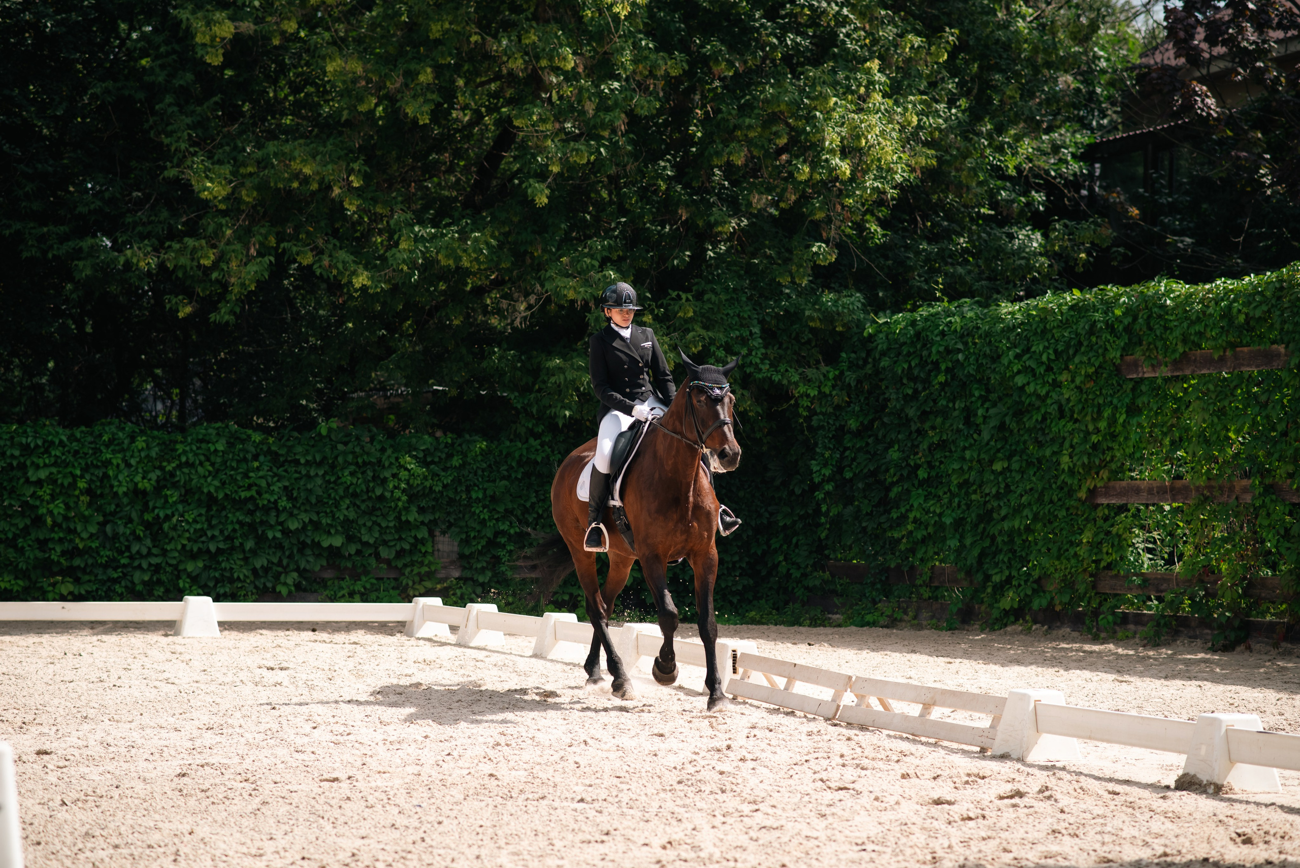 Выездка 10.08.25. Фотограф, визажист. Москва