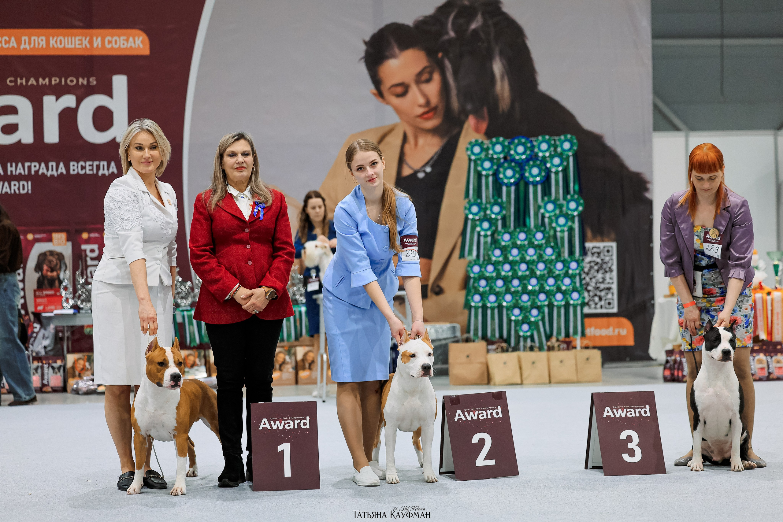 28-29.03.2026 Рейтинговая выставка в Новосибирске. Фотограф Анималист из Новосибирска Татьяна Кауфман