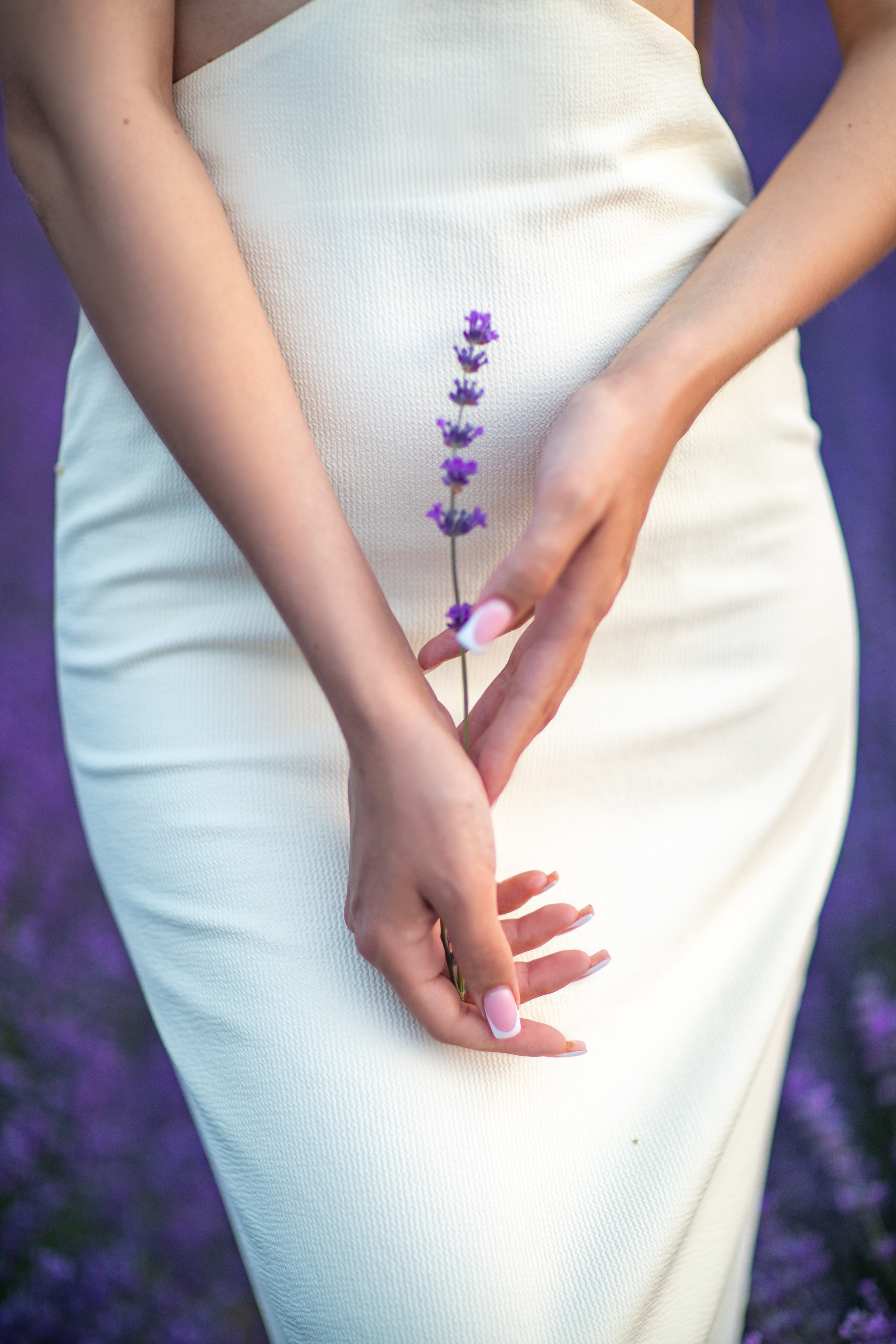 ЛАВАНДА. Фотограф Севастополь/Крым Светлана Евтушенко