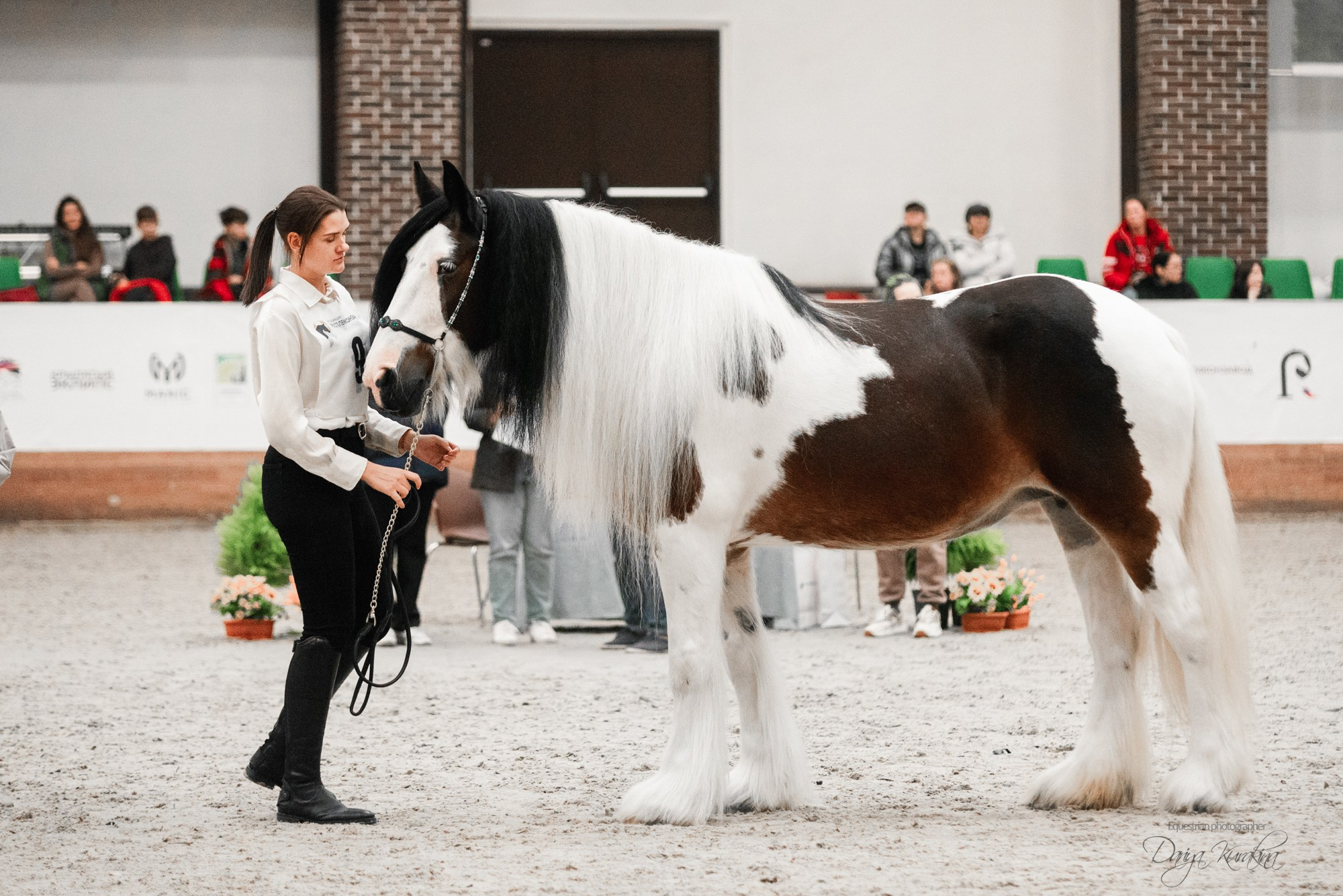 8-я международная выставка Конная Россия. Конный фотограф Куракина Дарья • Фотосессии с лошадьми