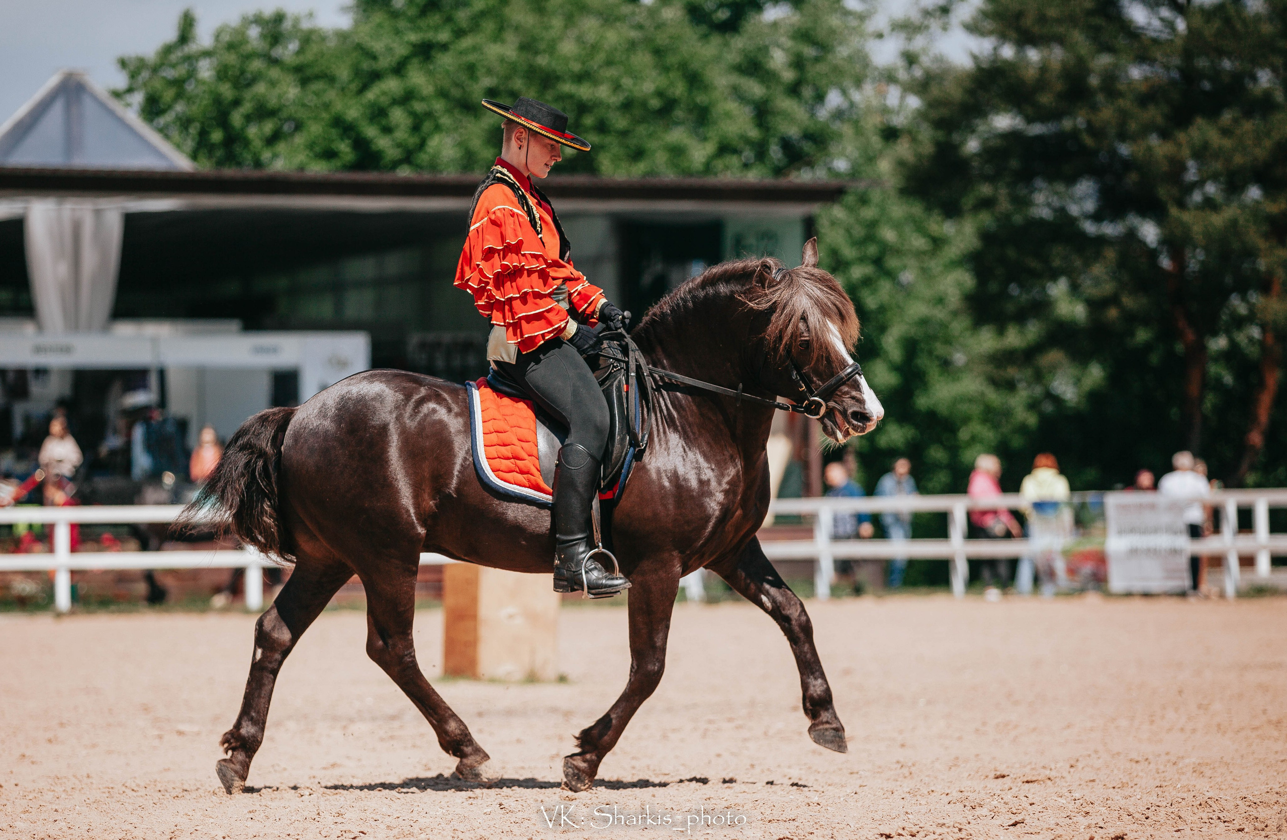Лошади. Главная