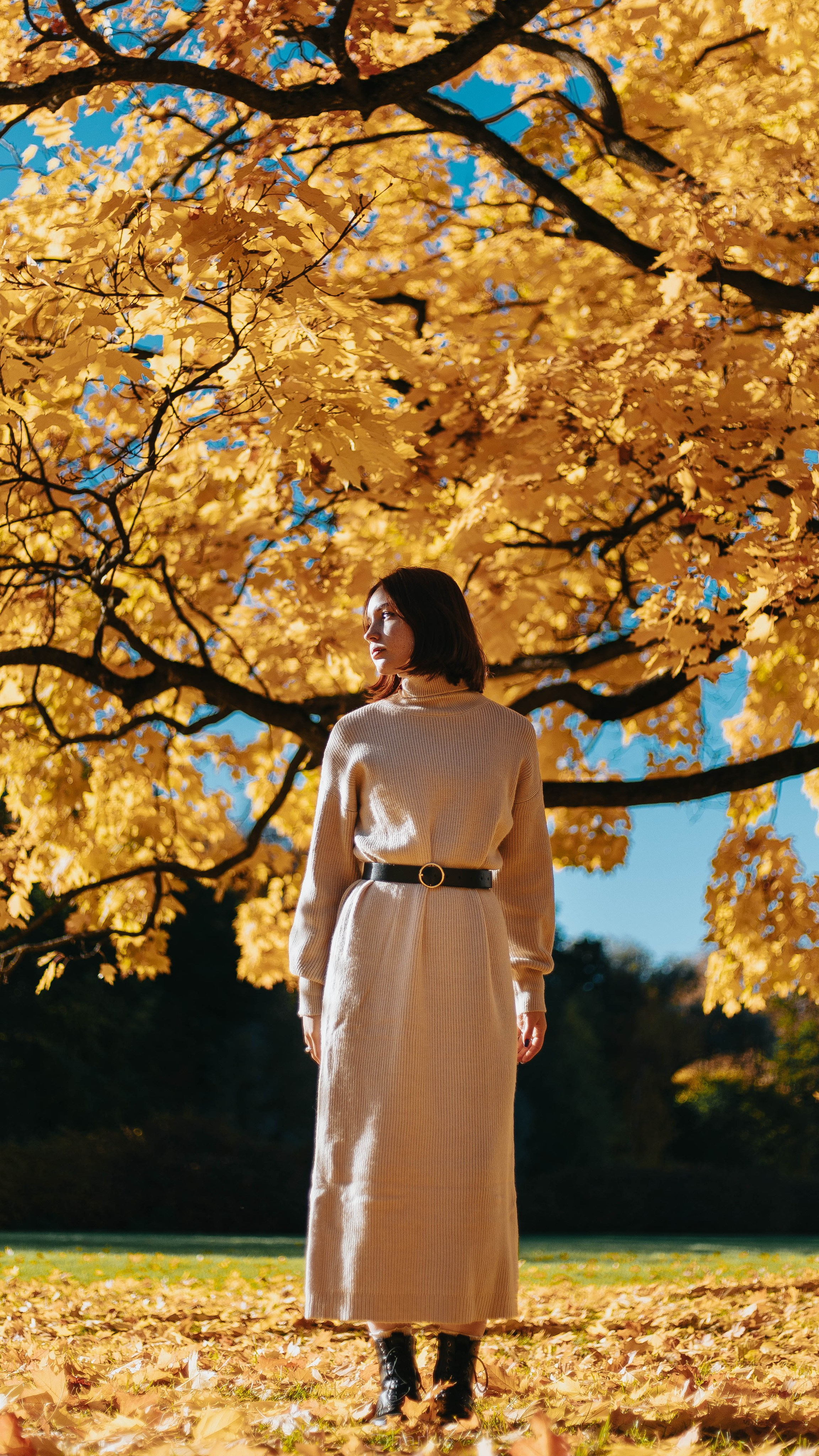 Света. Главная