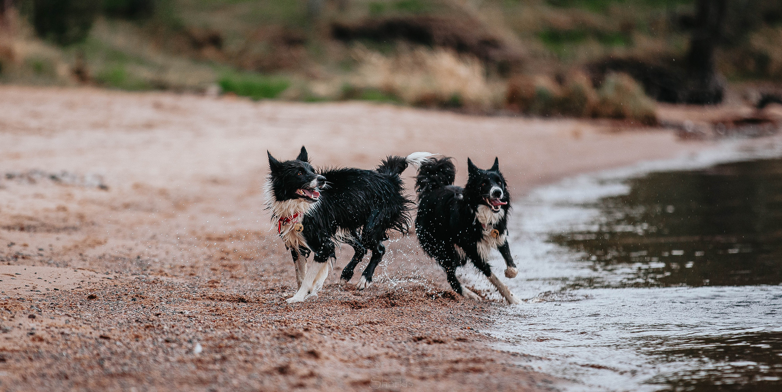 Кида и Сирша. Главная